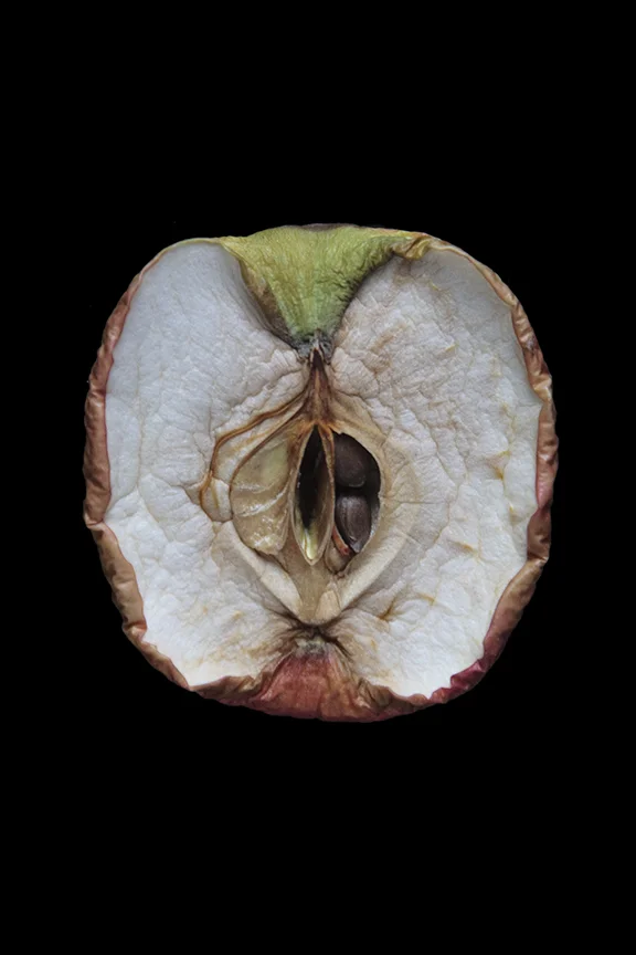 Pink Lady, Day Ten