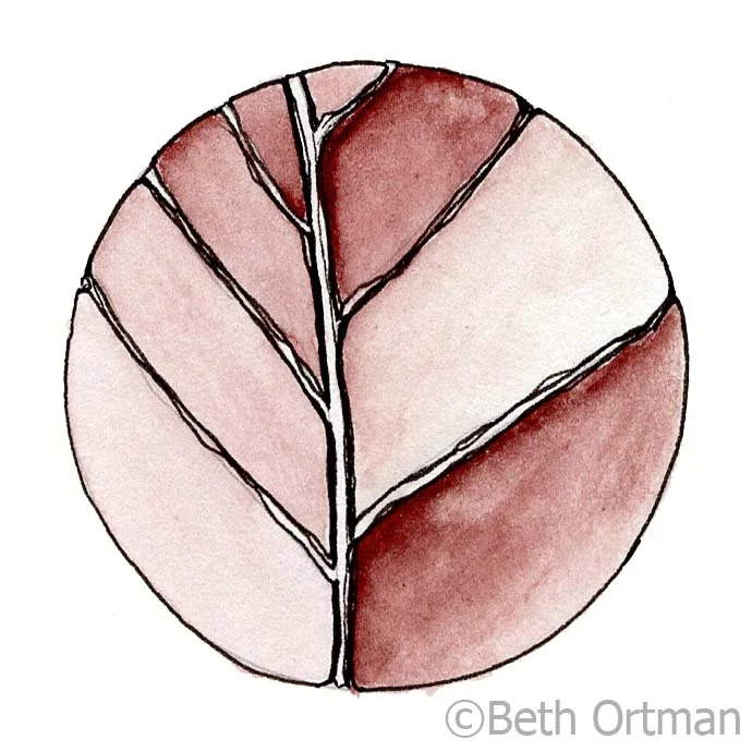 Beth_Ortman_Leaves_Watercolors_Post_05.jpg