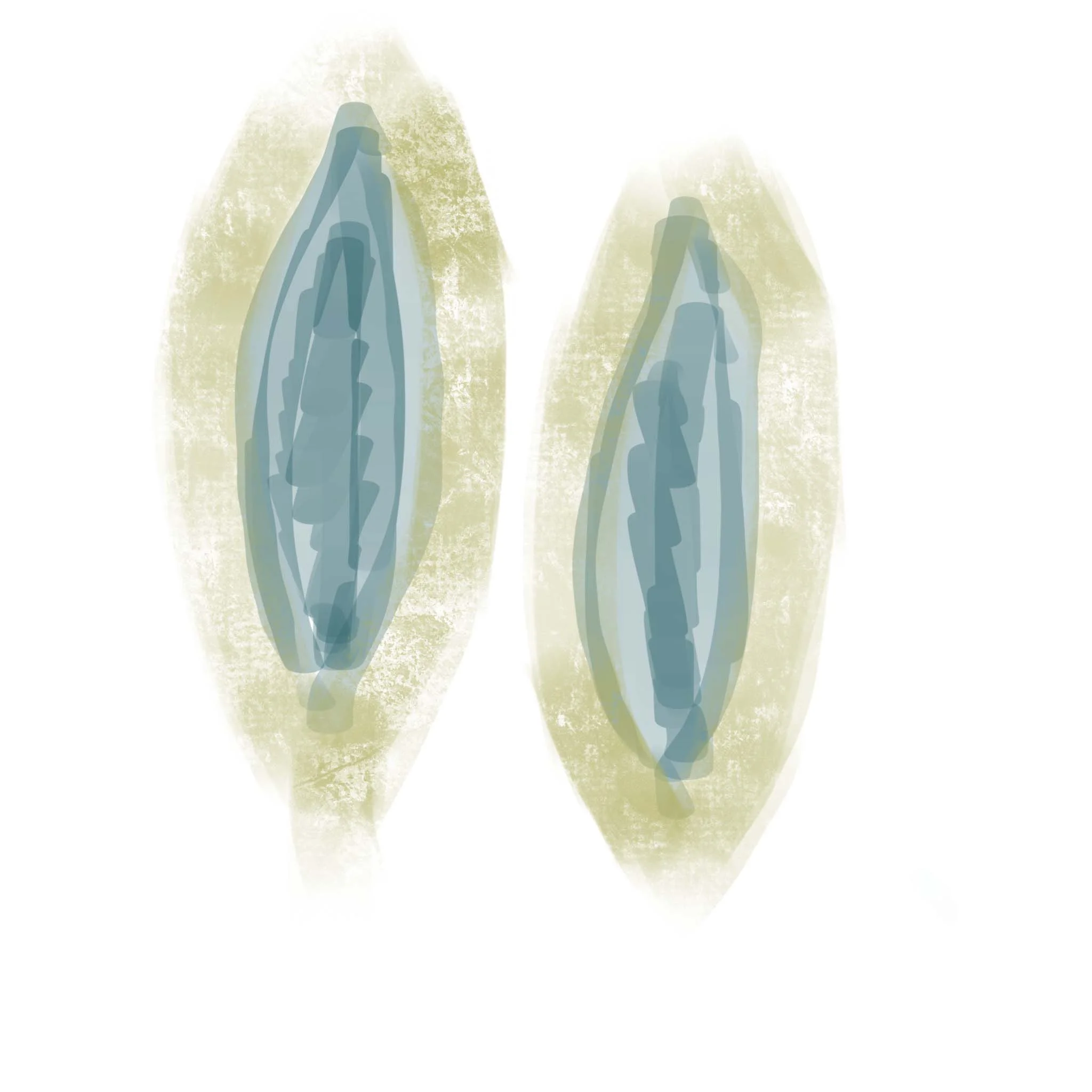 Beth_Ortman_Sketchbook_02_23_17b_post.jpg