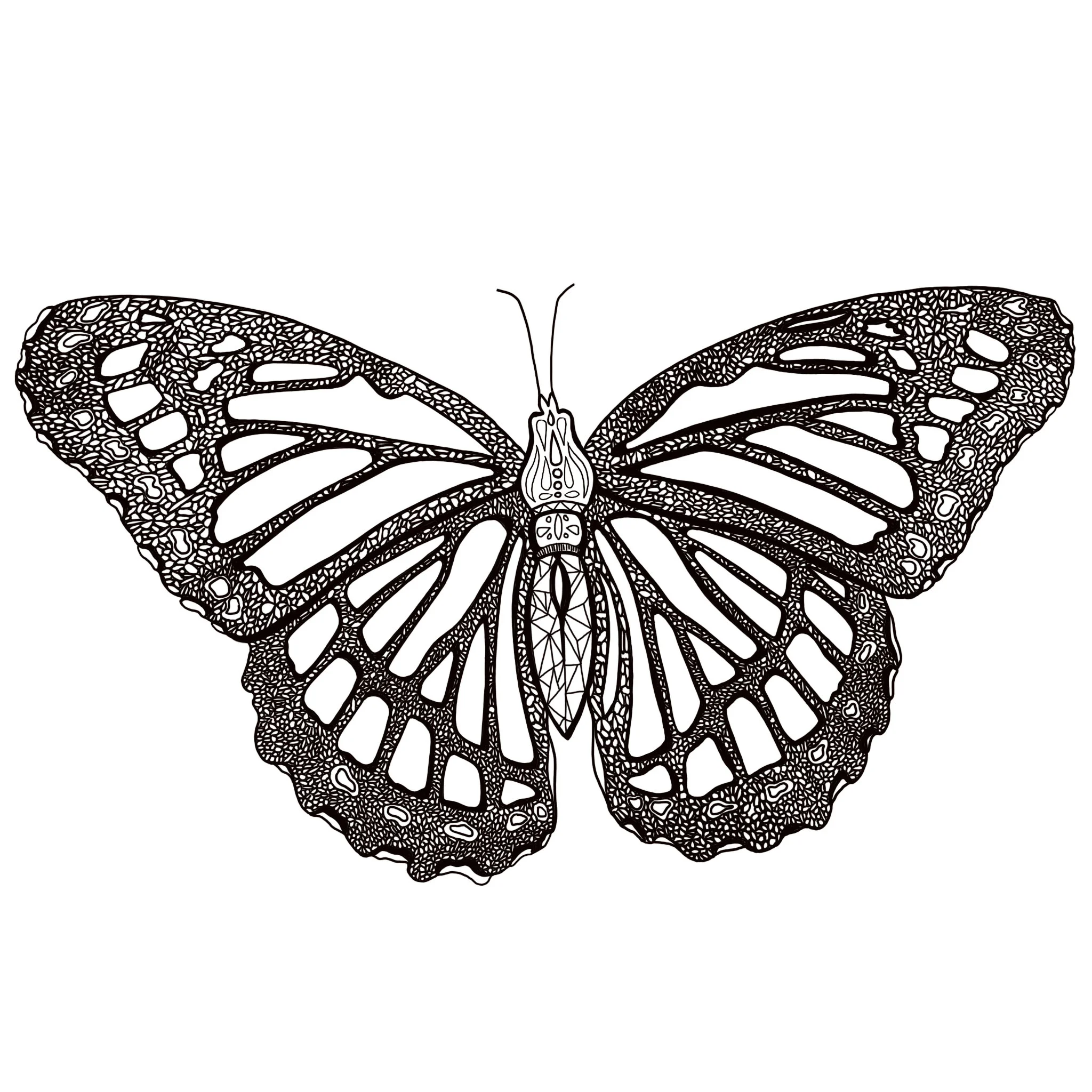 Monarch B/W