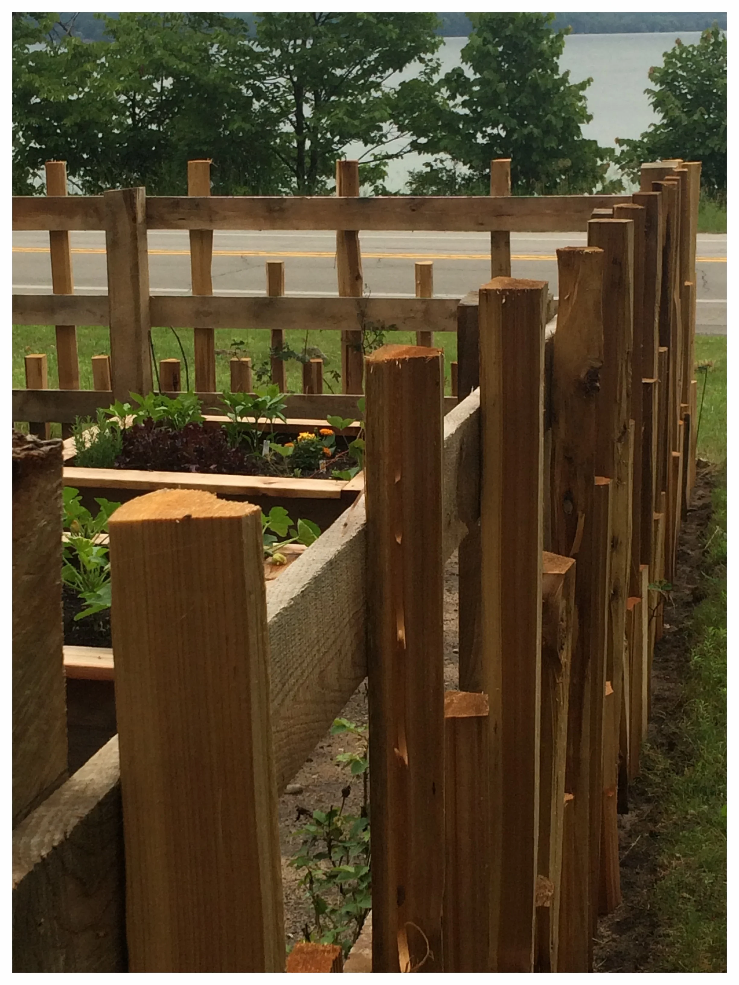 brookfieldkitchengarden.jpg