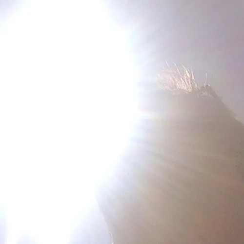 The Sun's 'Selfie FAIL'