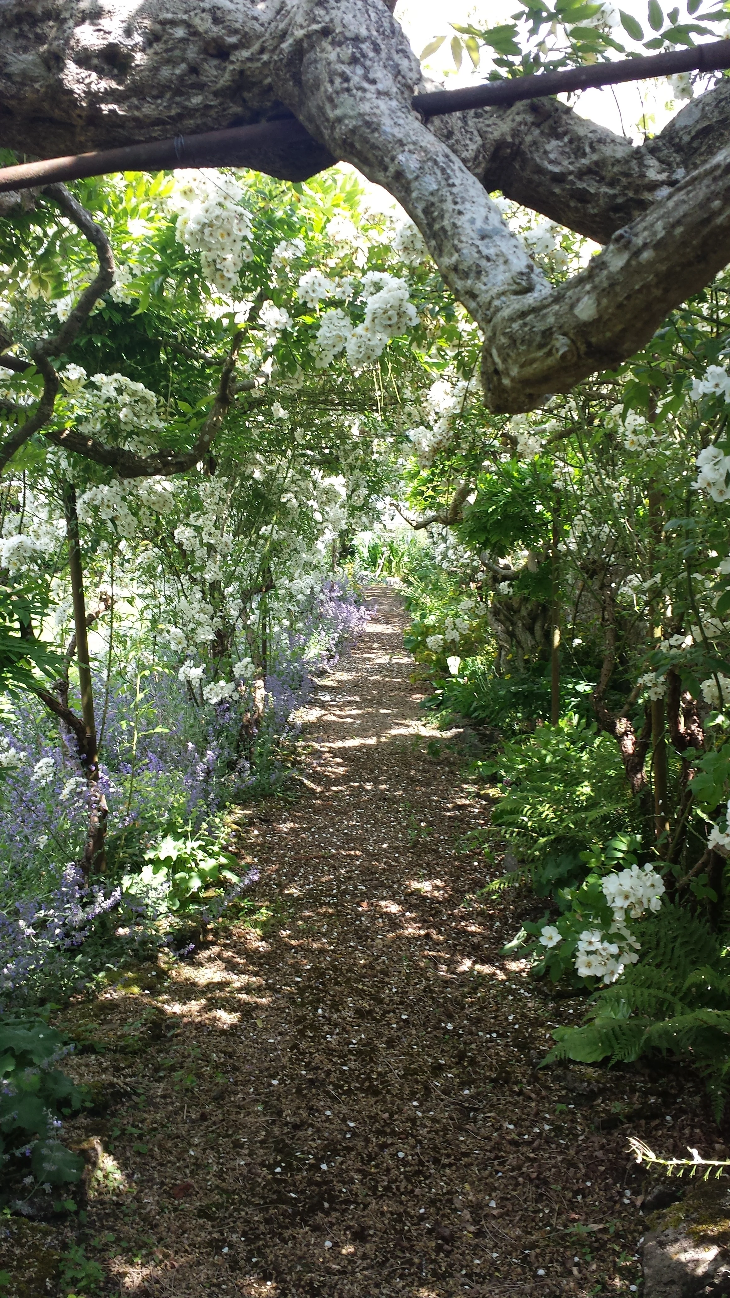20140623_113930.jpg