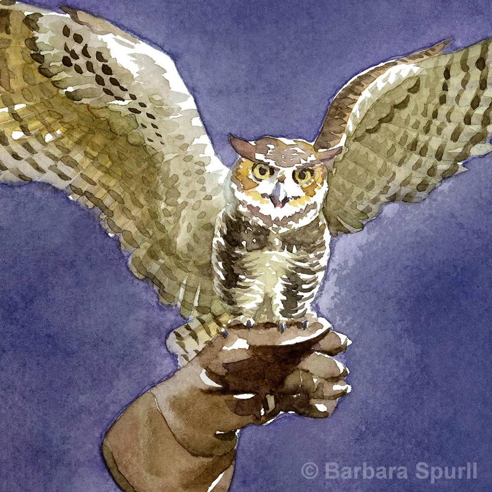 The-Moon_owl-detail_1000_Op.jpg