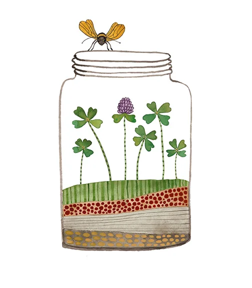 Jar of Luck, watercolor on paper, Golly Bard | Holly Ward Bimba © all rights reserved