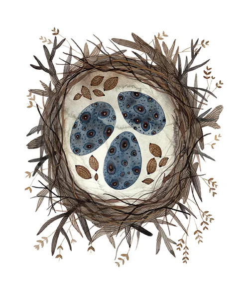 Boreal Nest, watercolor on paper, Golly Bard | Holly Ward Bimba © all rights reserved