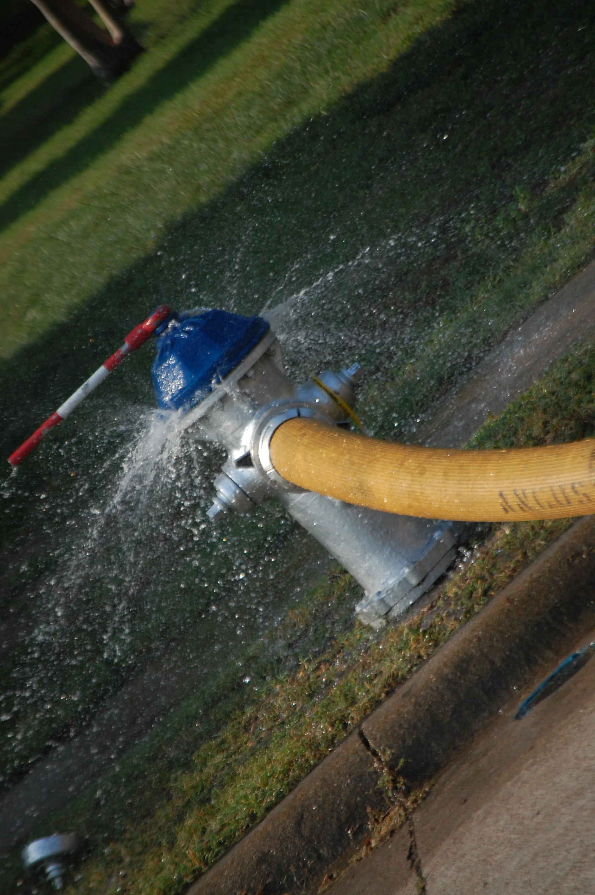 DSC_0986.JPG