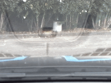 final-project-thumb.gif