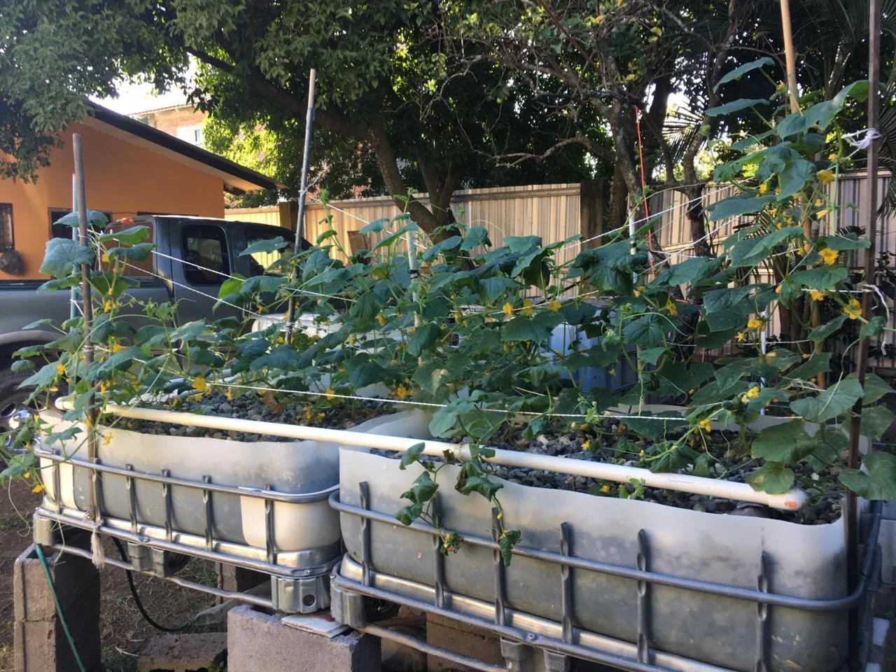One of the Systems Jorge Amador built in La Ceiba in 2018