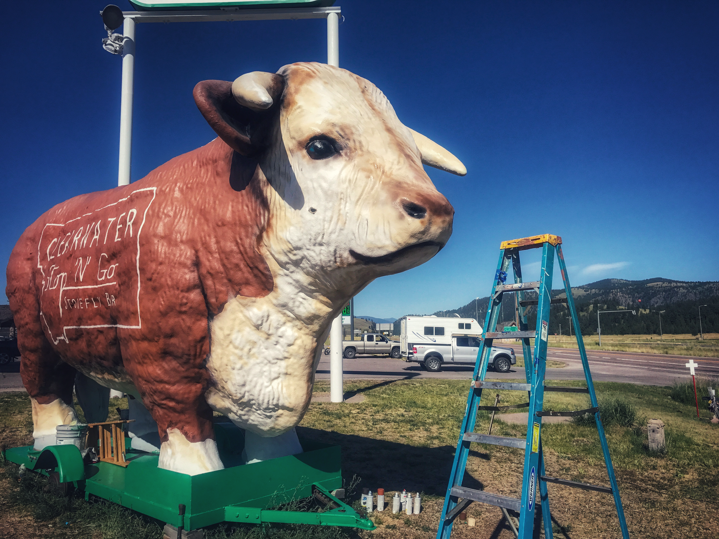 JPEG image-0D072D9E11A4-1.jpeg