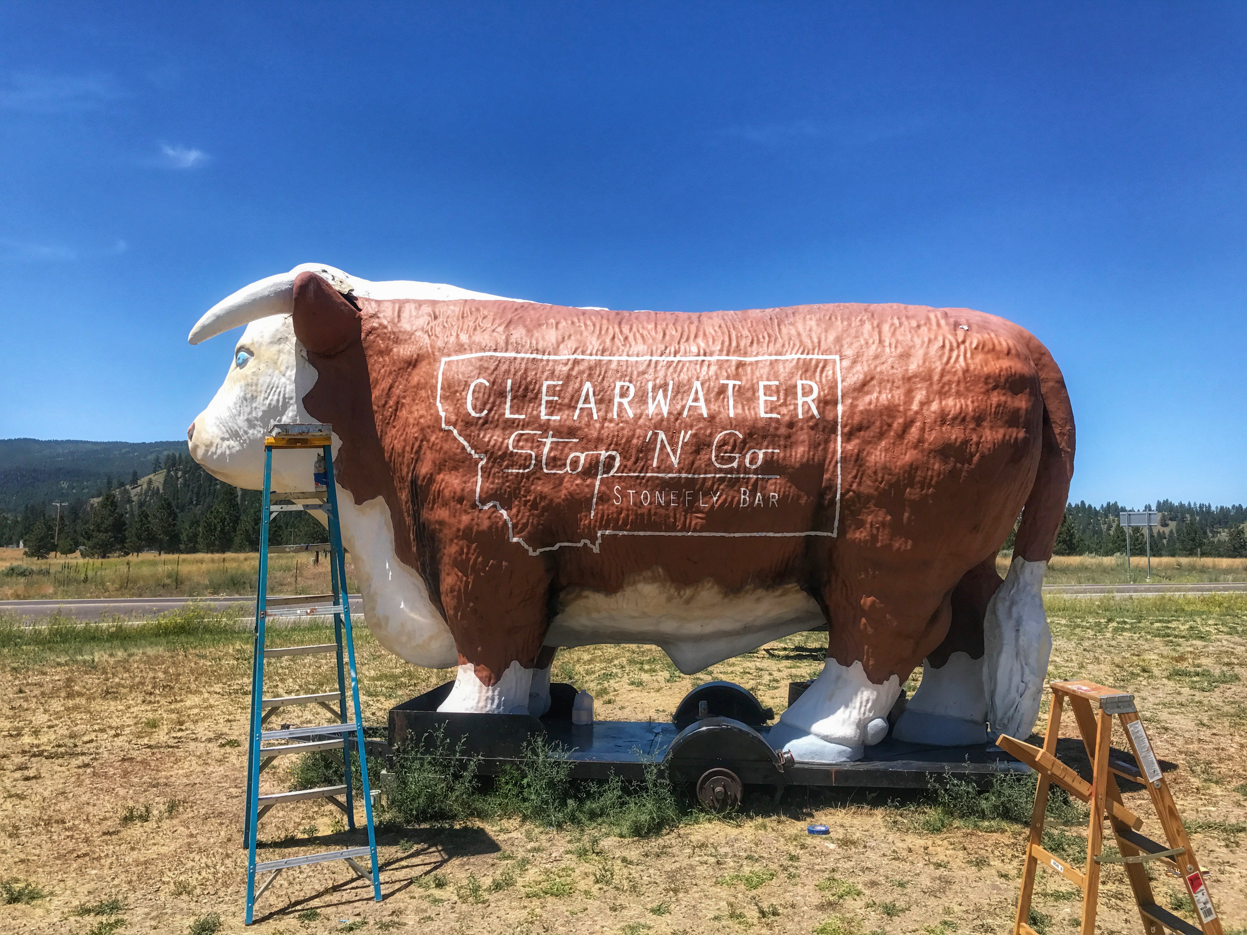 JPEG image-03B60B5B1C10-1.jpeg