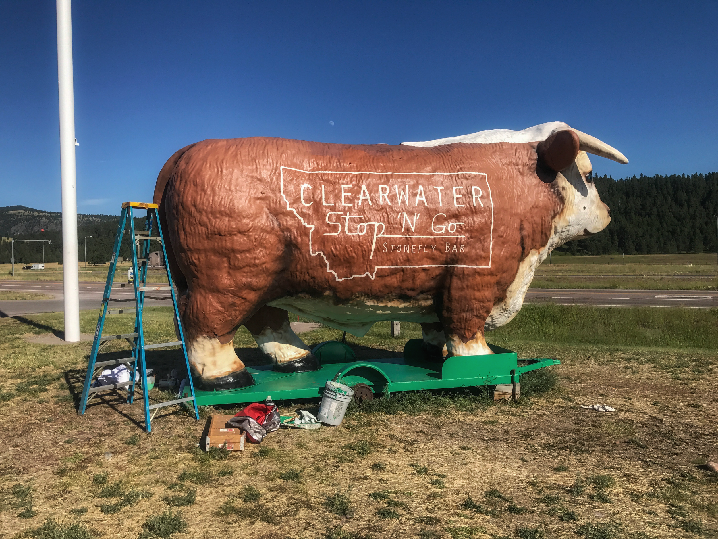 JPEG image-4B95D65B43F6-1.jpeg