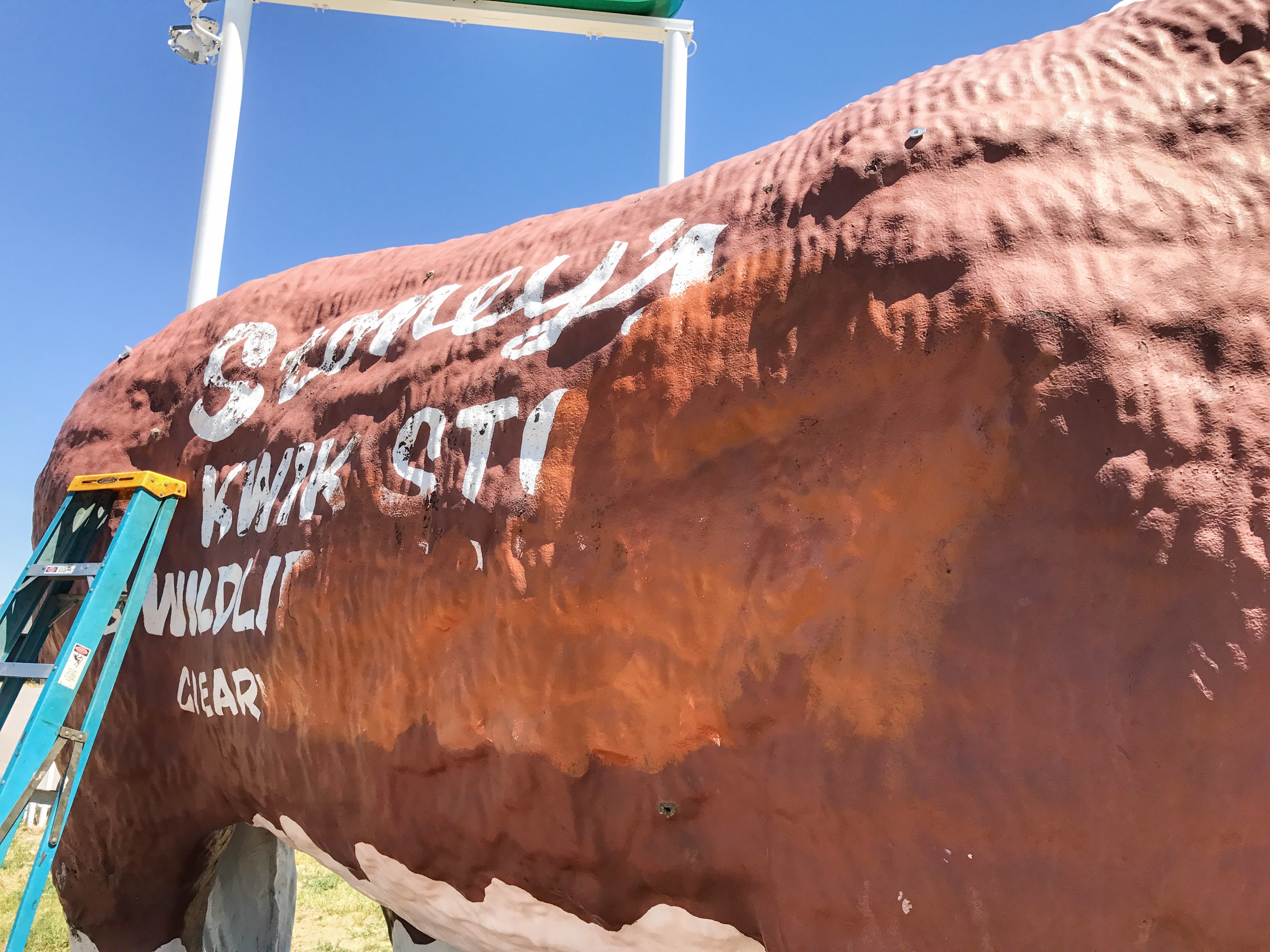 JPEG image-3C0DDC73EA39-1.jpeg