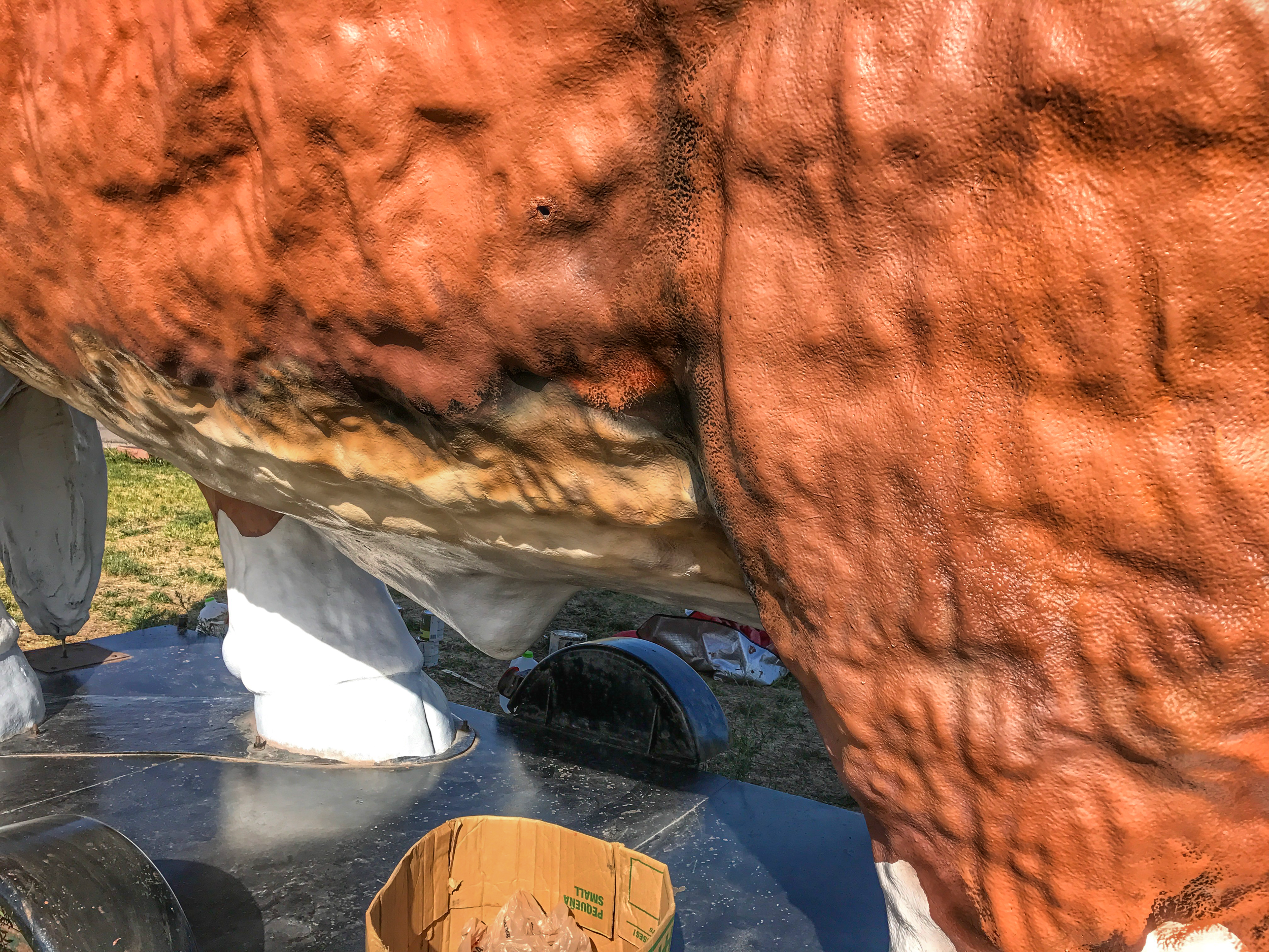 JPEG image-5B373BF58FDF-1.jpeg