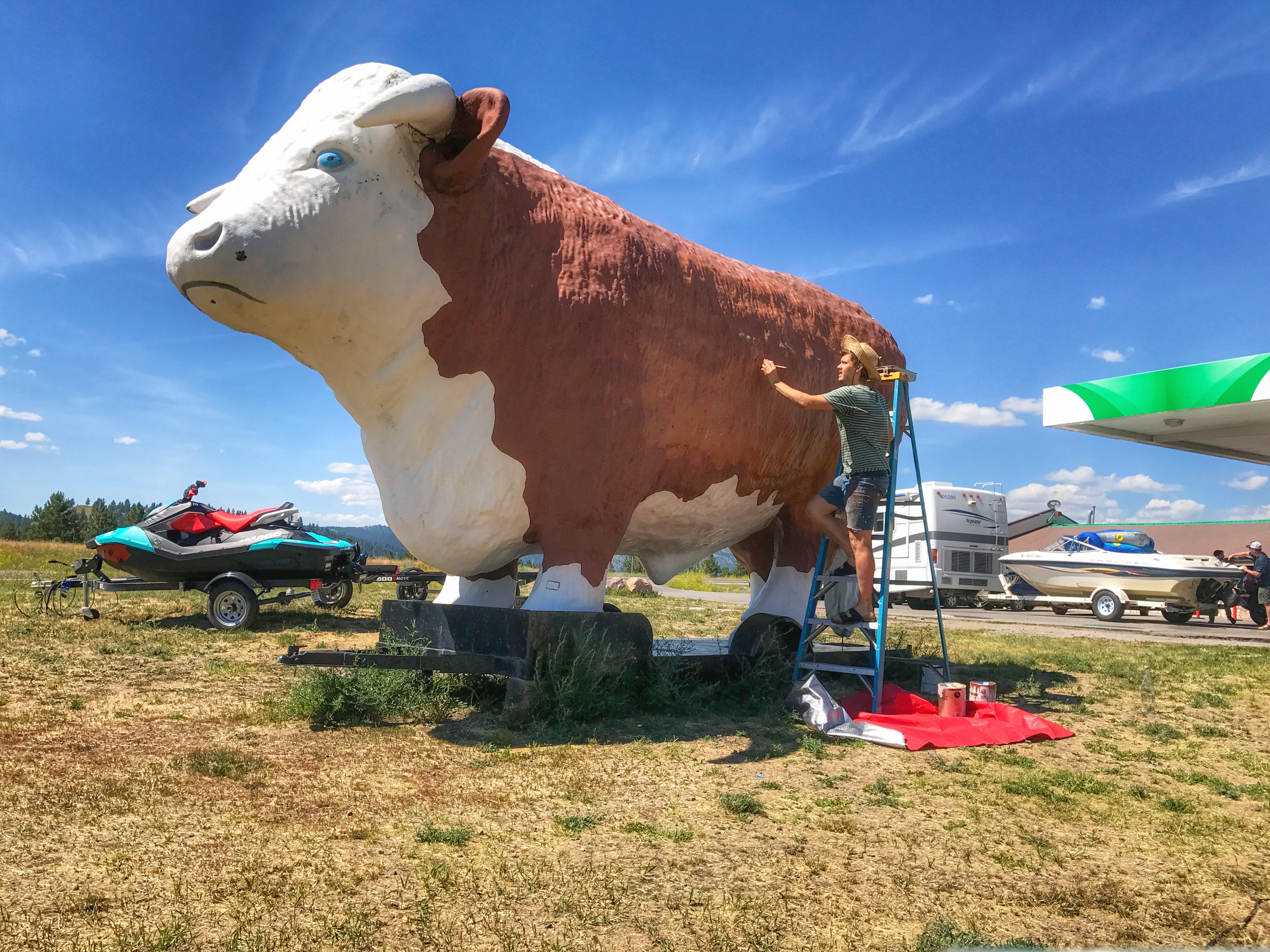 JPEG image-7BD156C1F8ED-1.jpeg