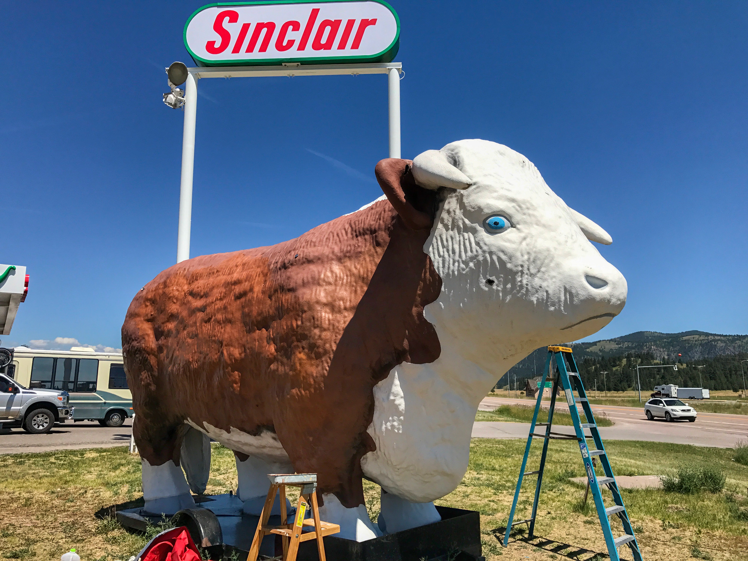 JPEG image-8B760F3161C0-1.jpeg