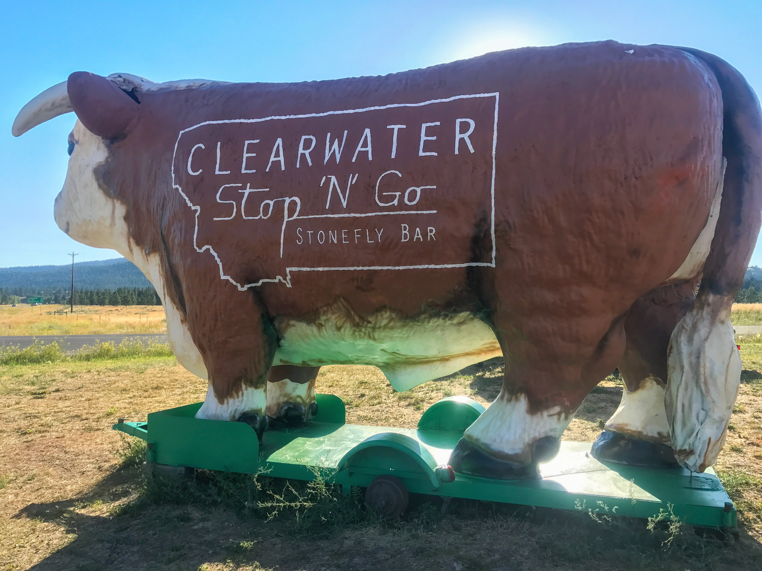 JPEG image-836BAF9E2DD3-1.jpeg