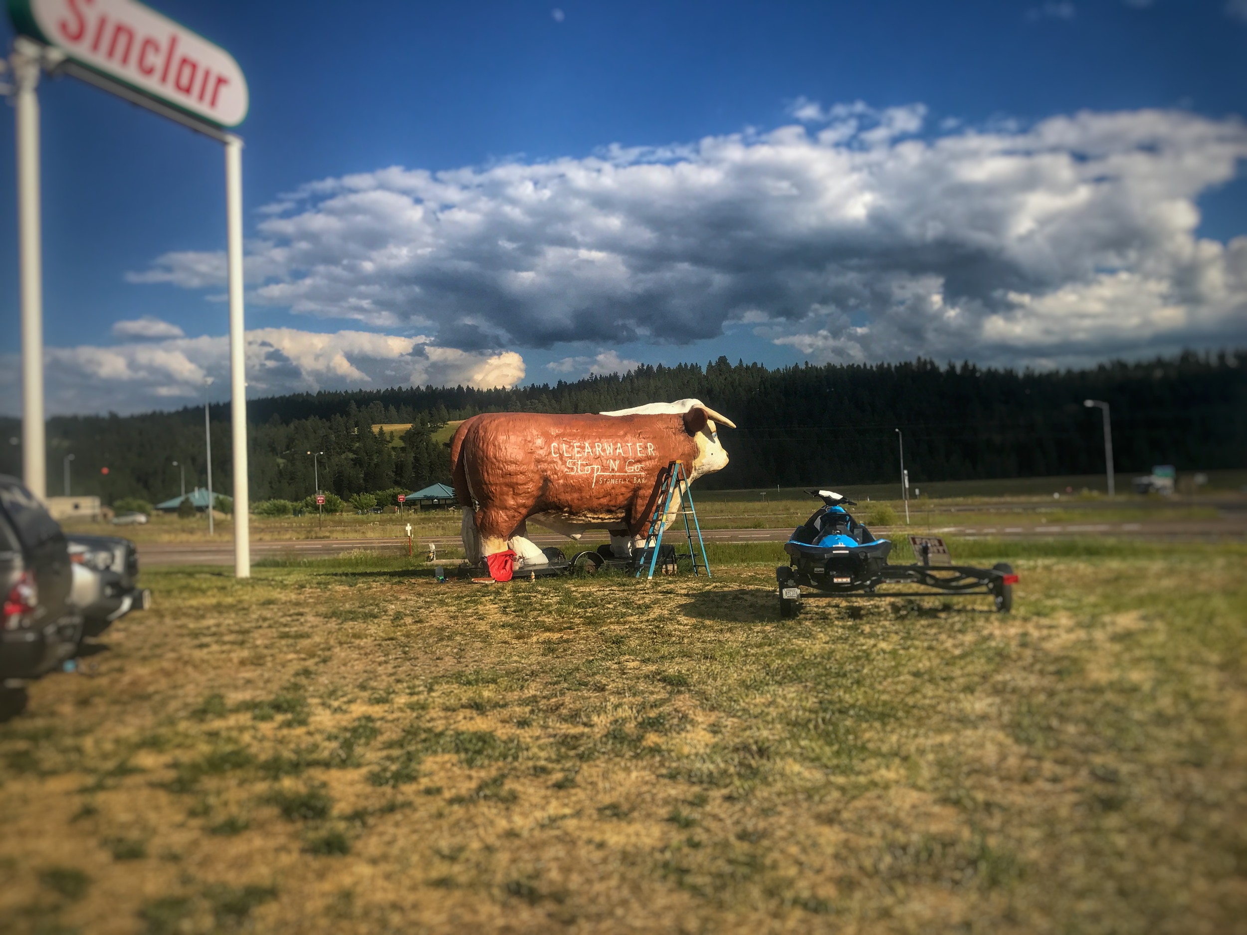 JPEG image-395A26C0C503-1.jpeg