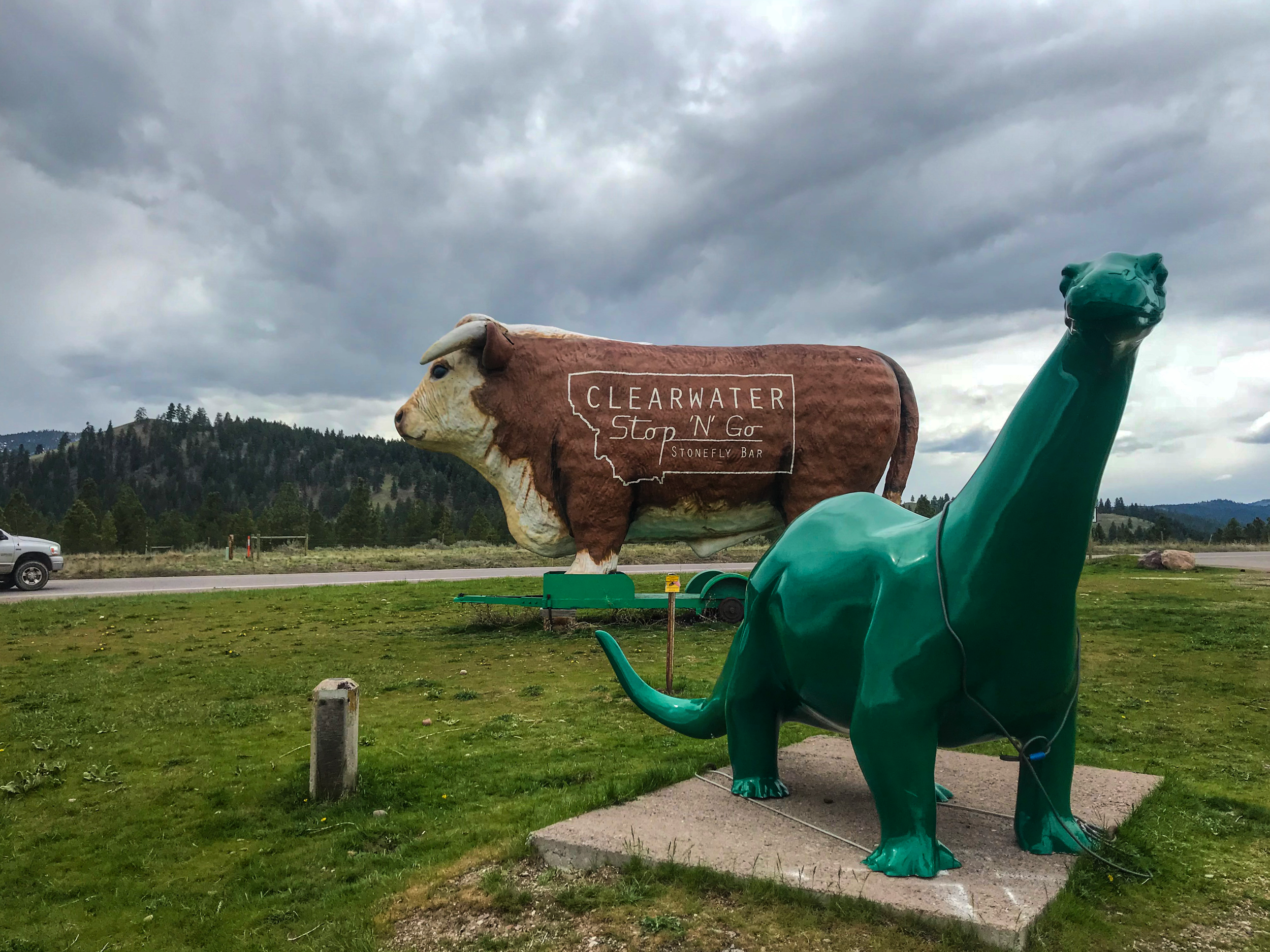 JPEG image-8765B72636E4-1.jpeg