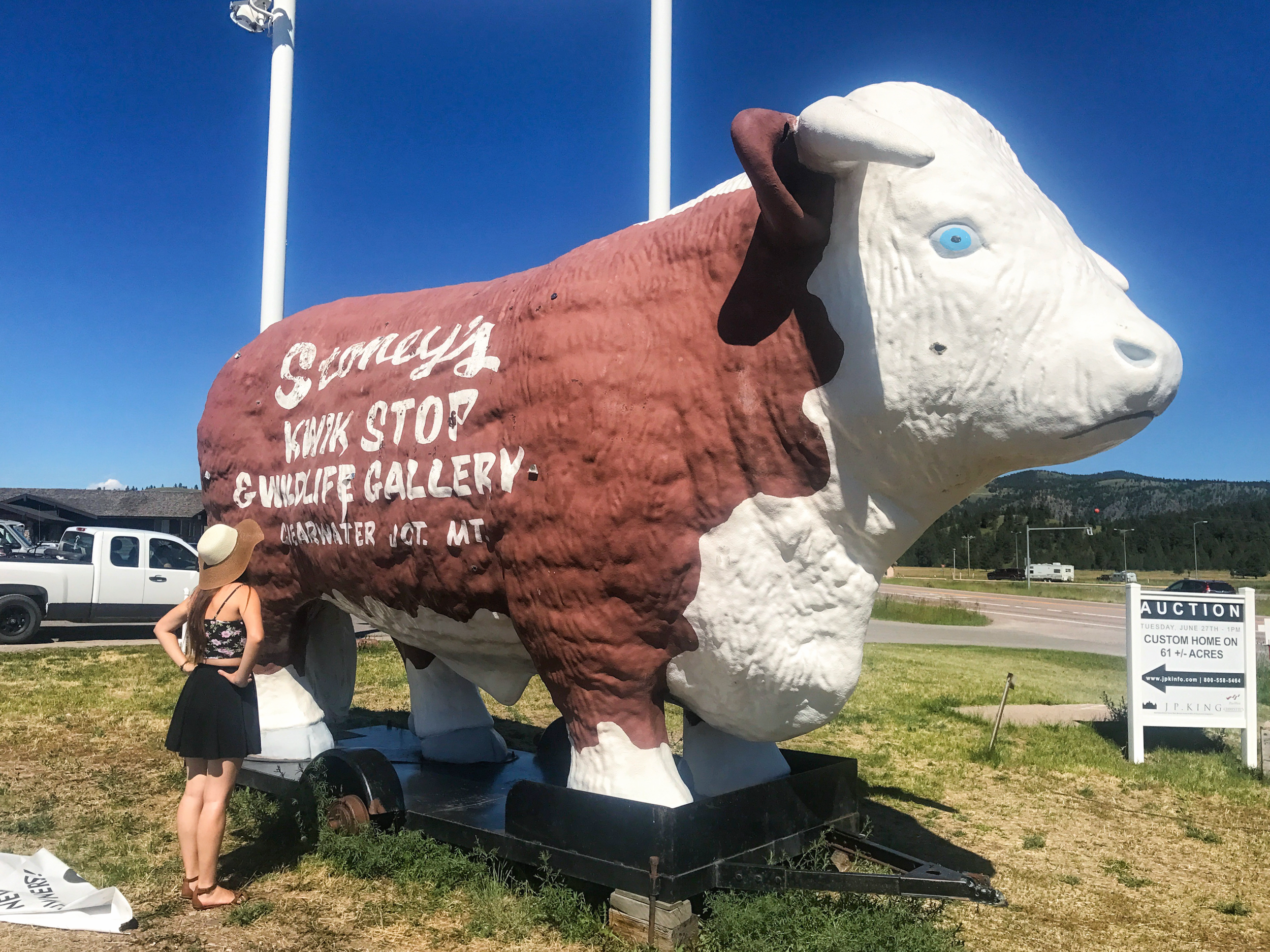 JPEG image-9019978BAAB4-1.jpeg