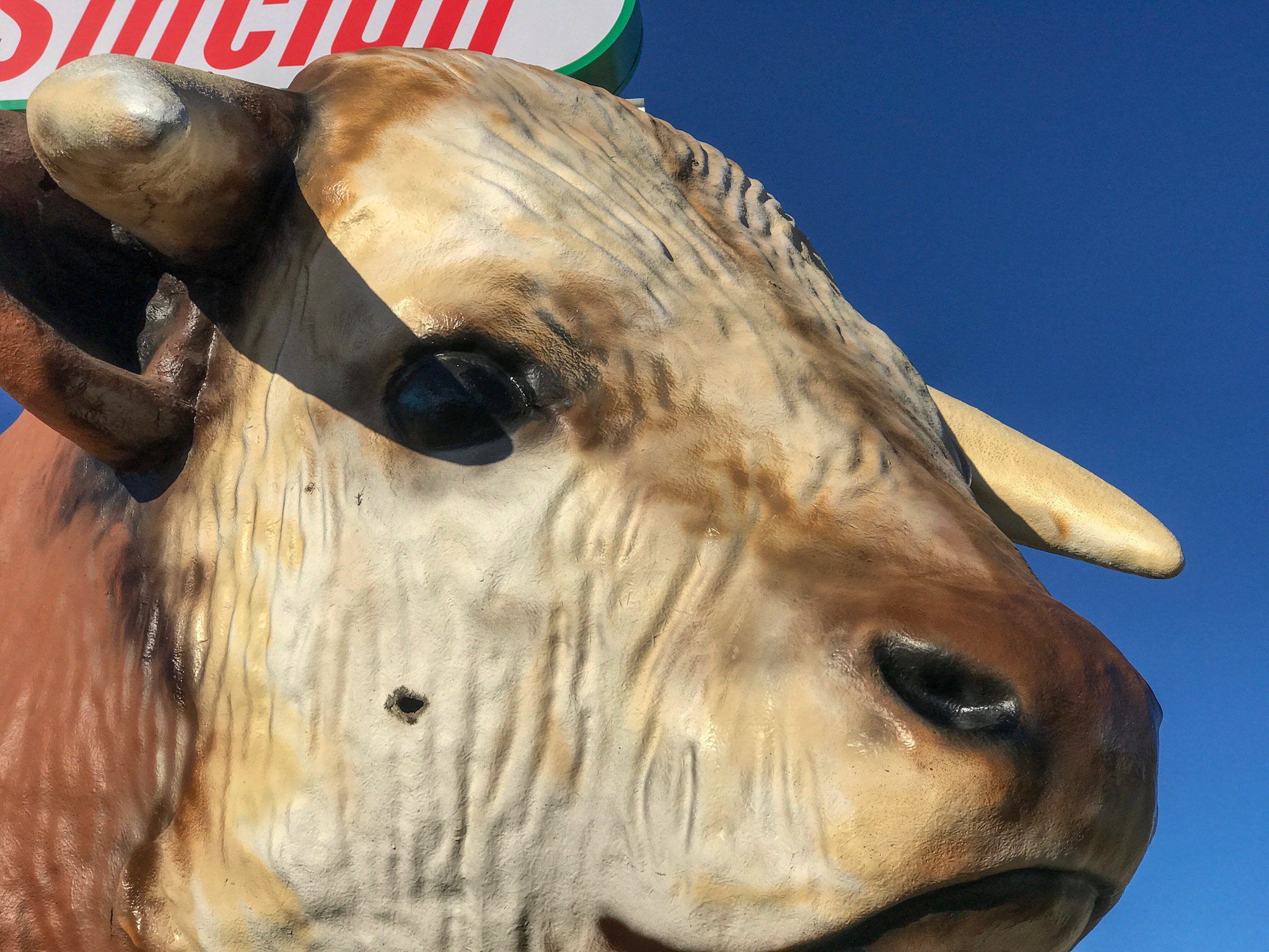 JPEG image-CE510BB12280-1.jpeg