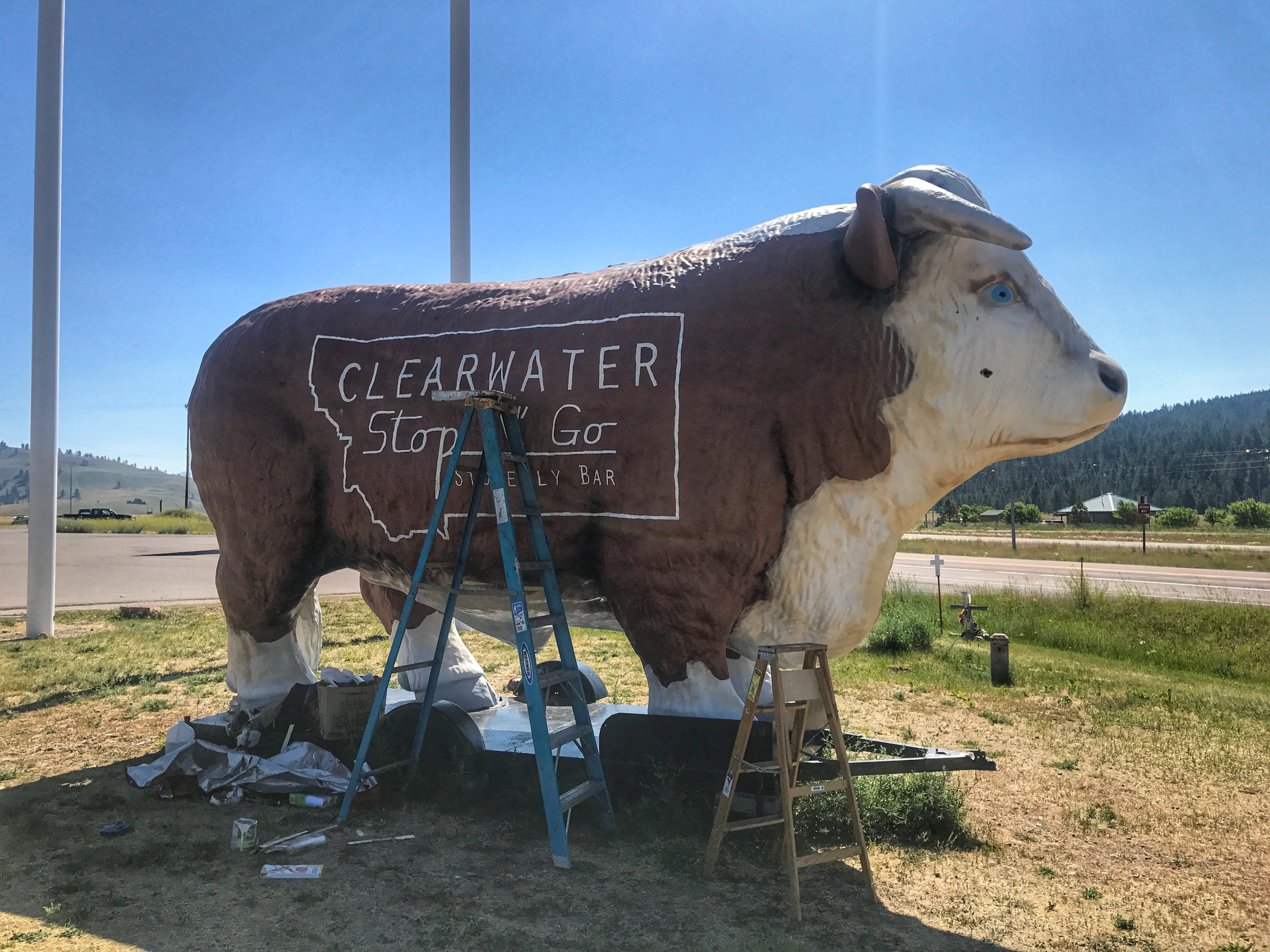 JPEG image-E0D669BF8376-1.jpeg