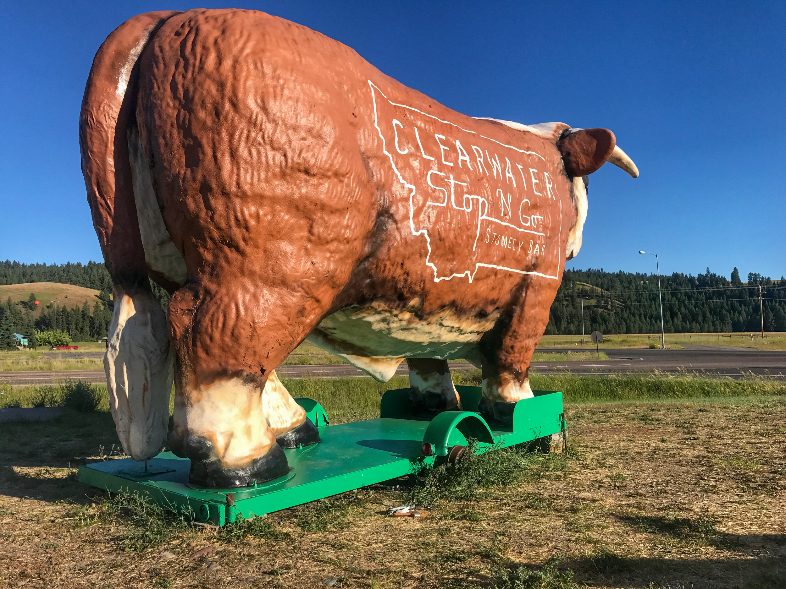 JPEG image-92D9A590A75B-1.jpeg