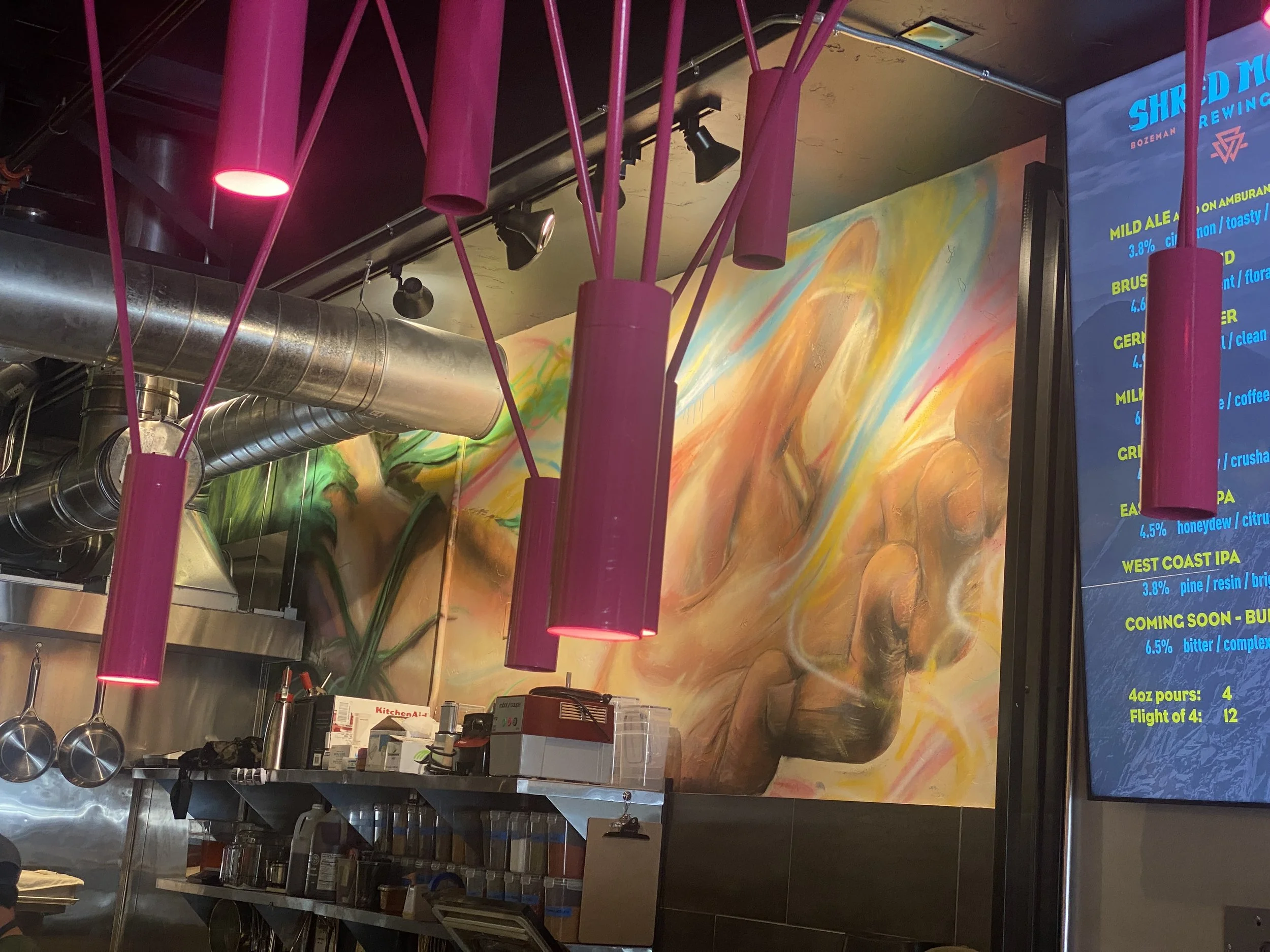 shred monk bozeman mural.JPG