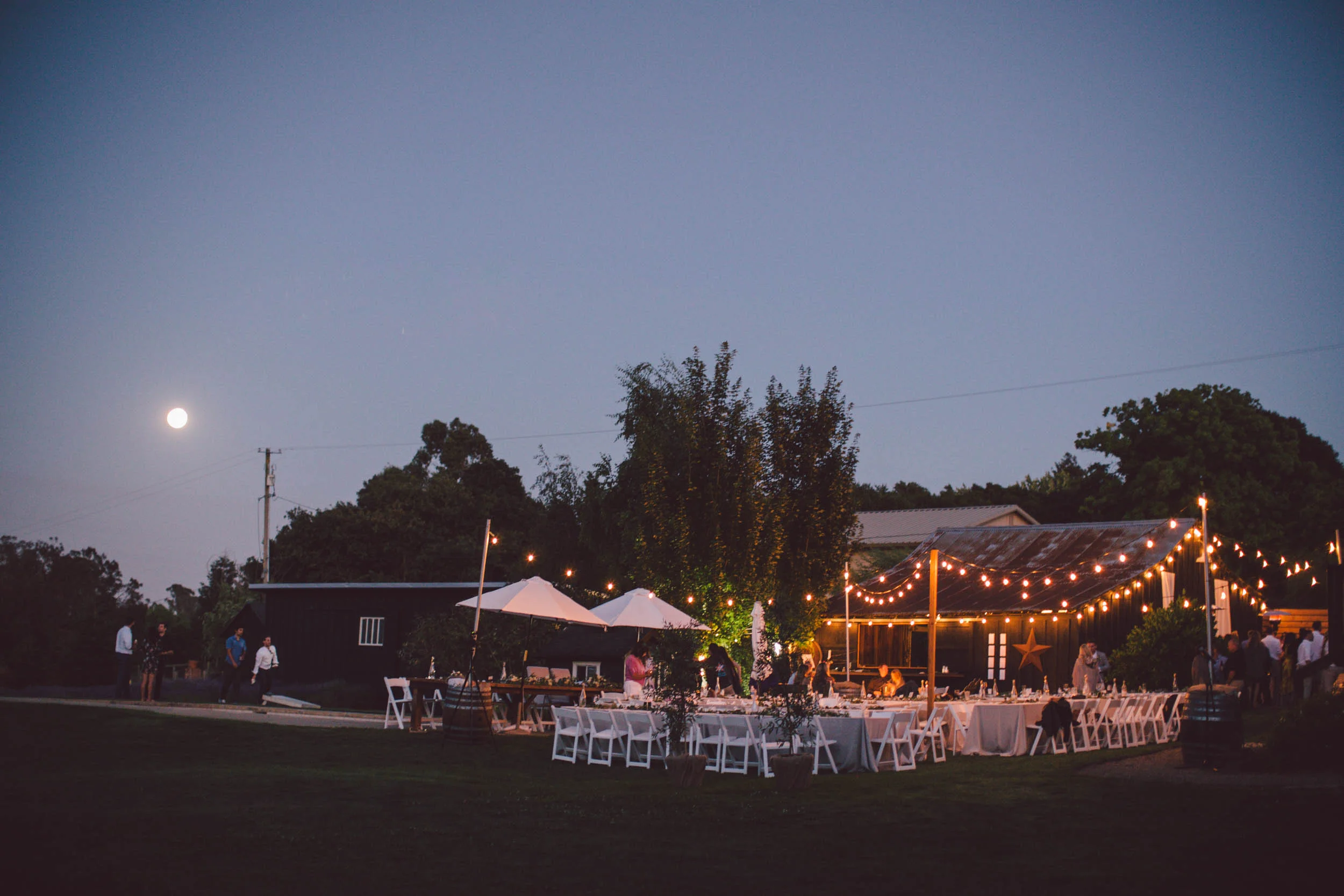 boho backyard petaluma wine country wedding