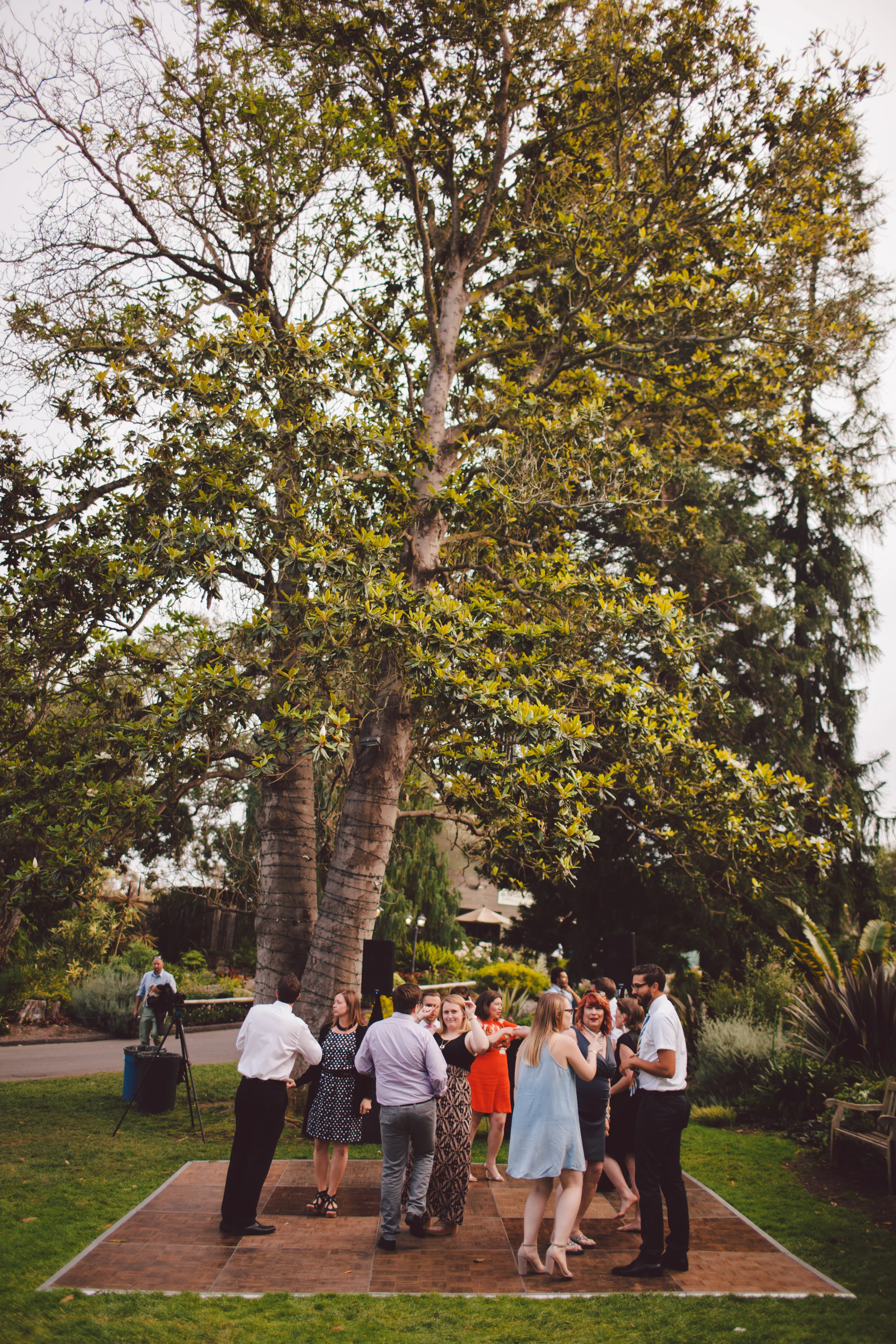 san diego botanical garden boho wedding (38 of 48).jpg