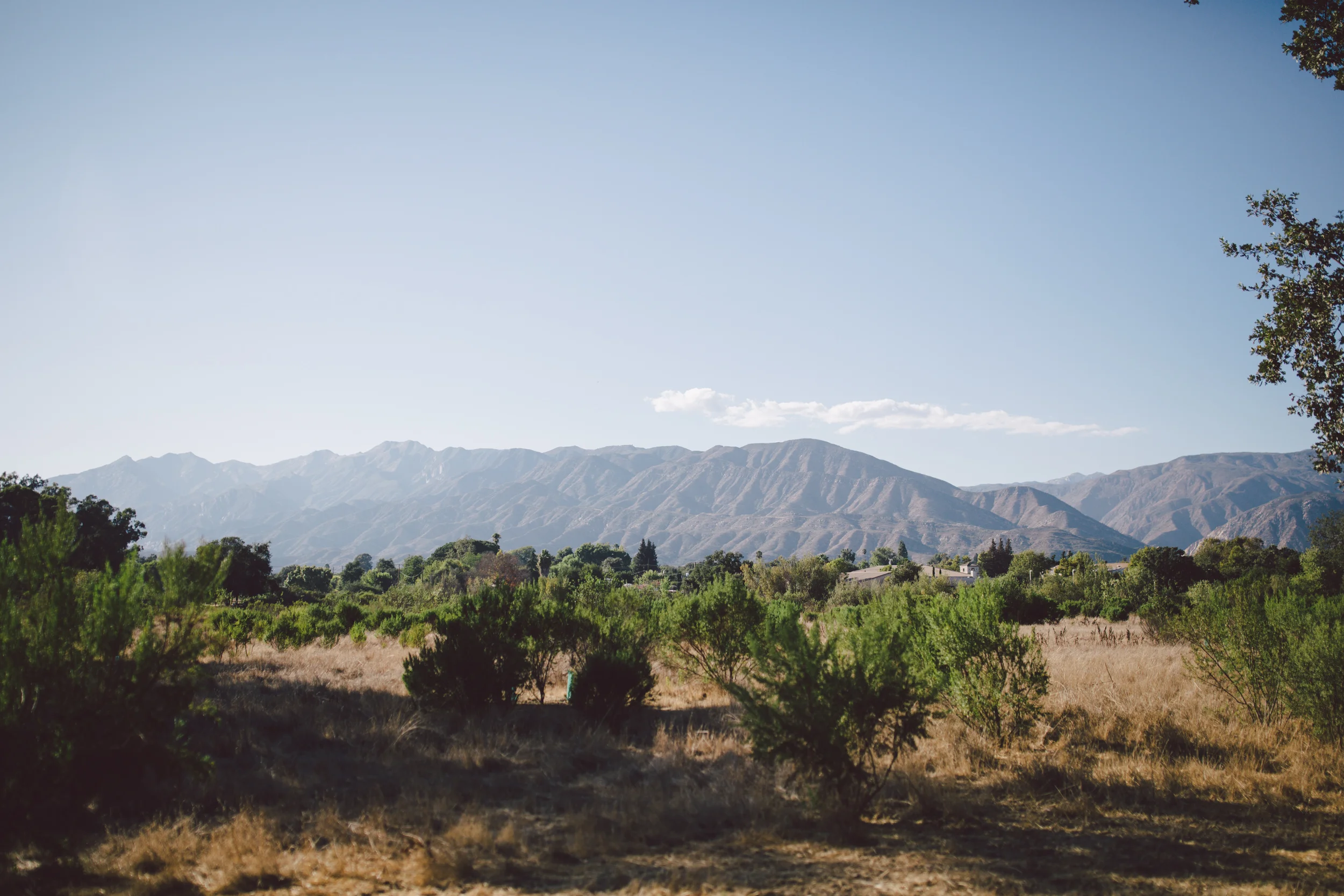ojai mountain sunset intimate elopement