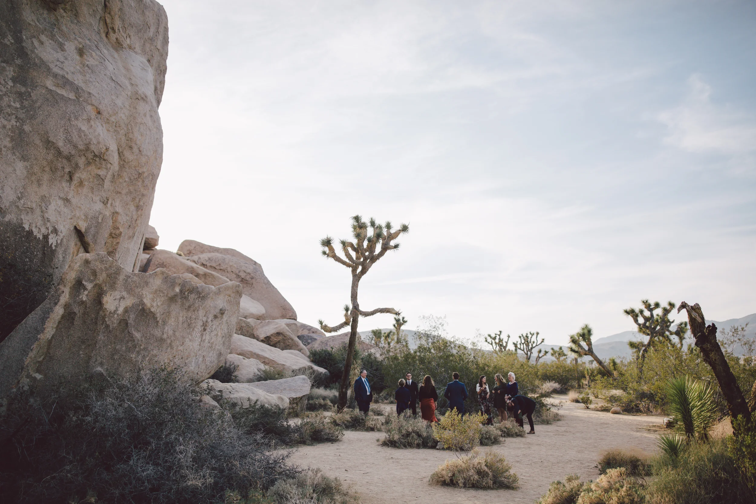 cap rock joshua tree elopement