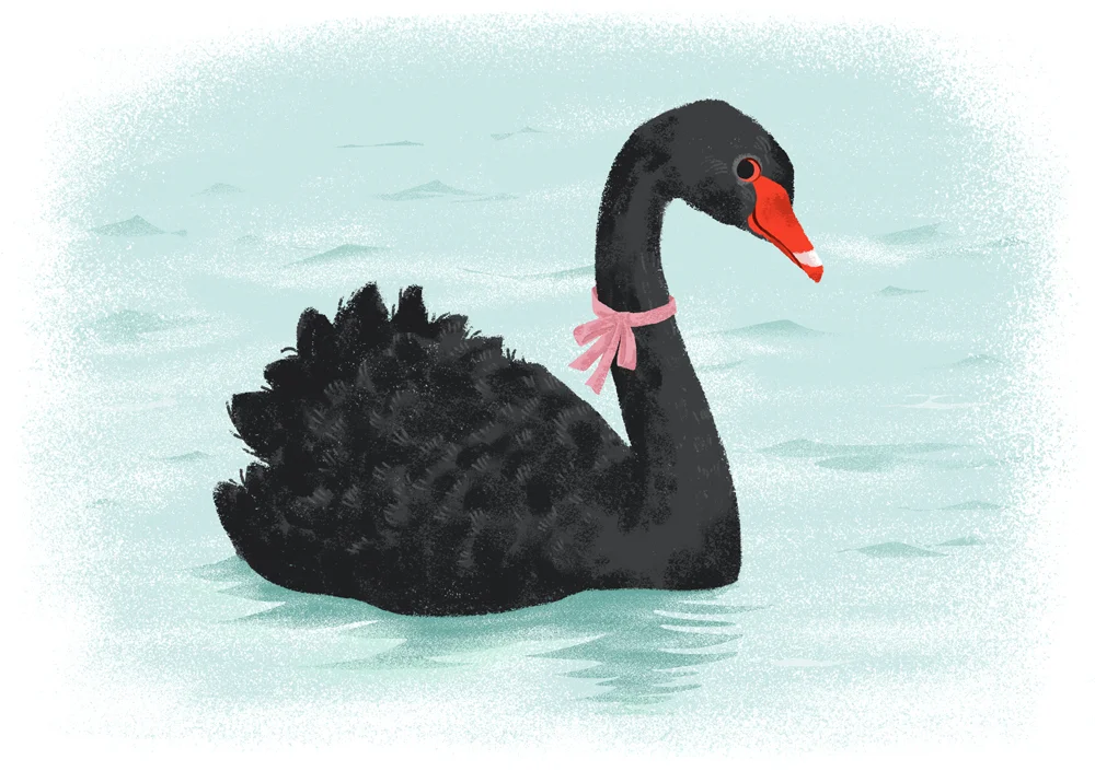 blackswan3.jpg