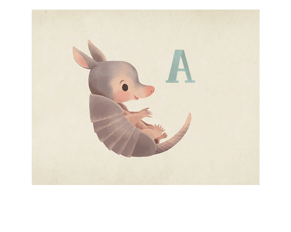 armadillo.jpg