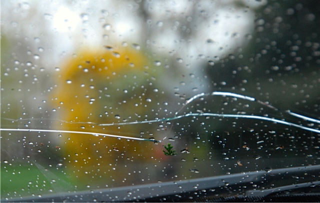Cracked car window Photo taken by Carol Berlin