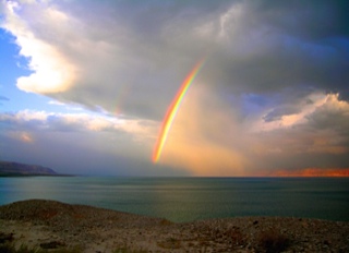 The rainbow of trust, Israel. Photo taken by Carol Berlin