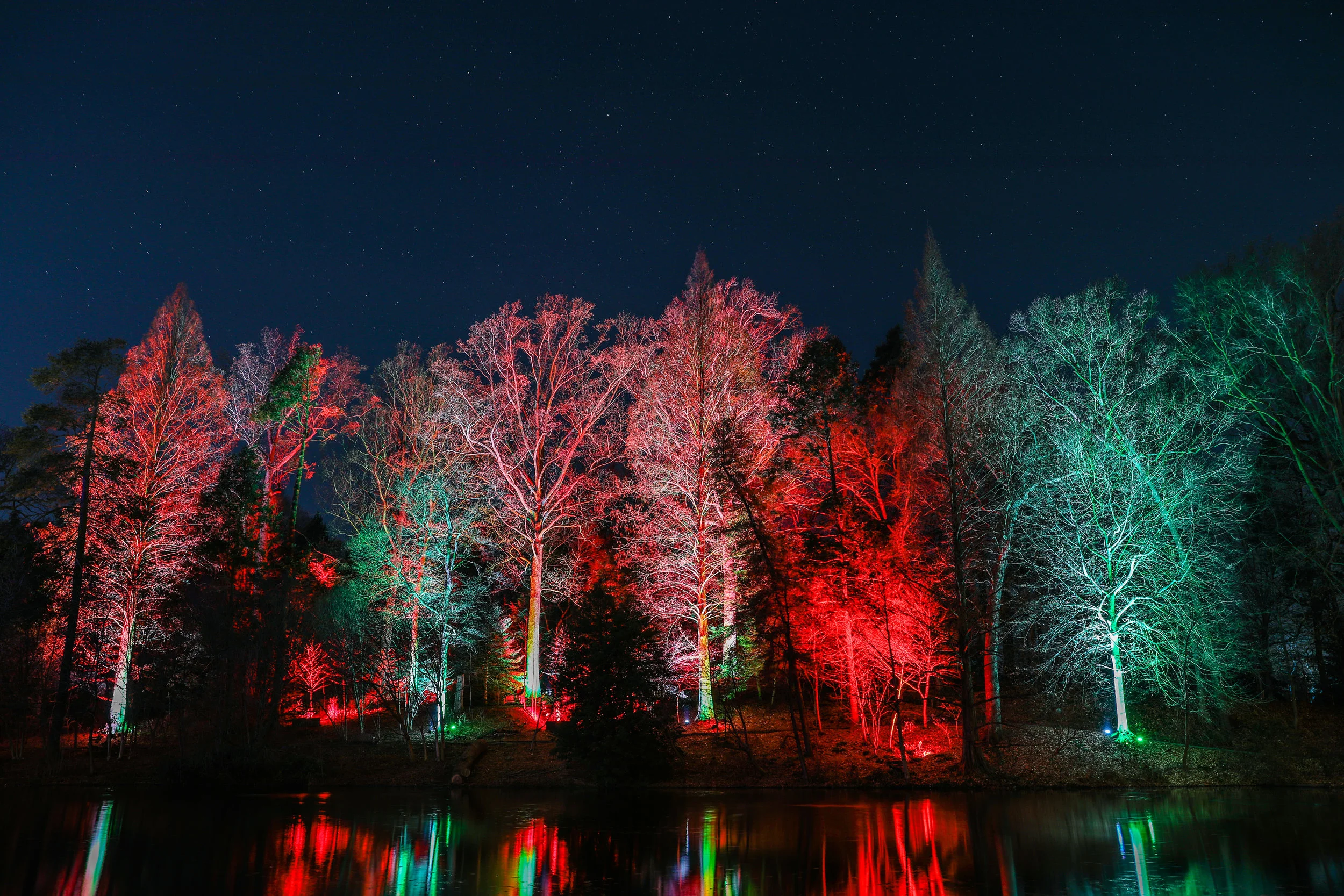 longwoodchristmas-5664.jpg