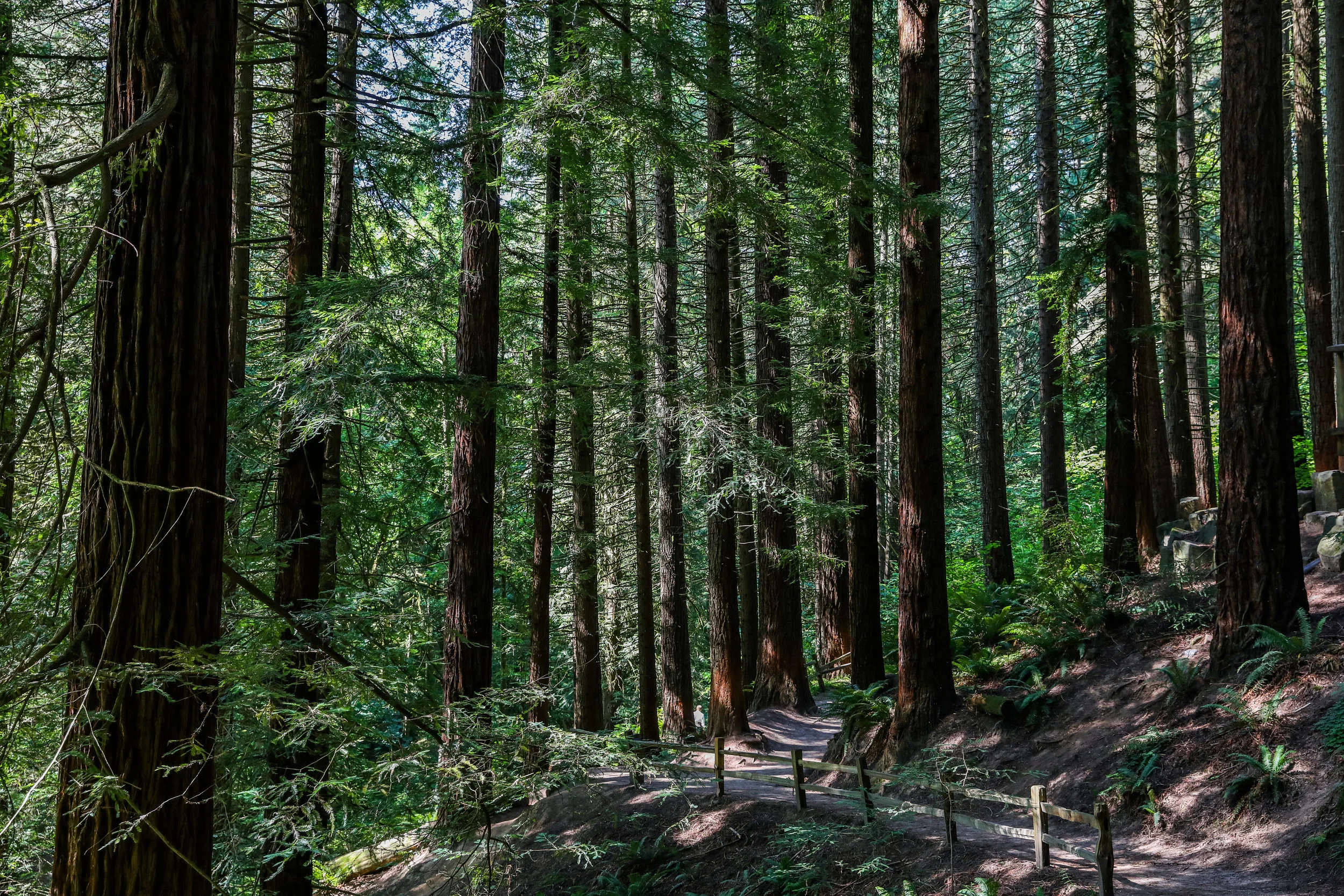 oregon-2614.jpg