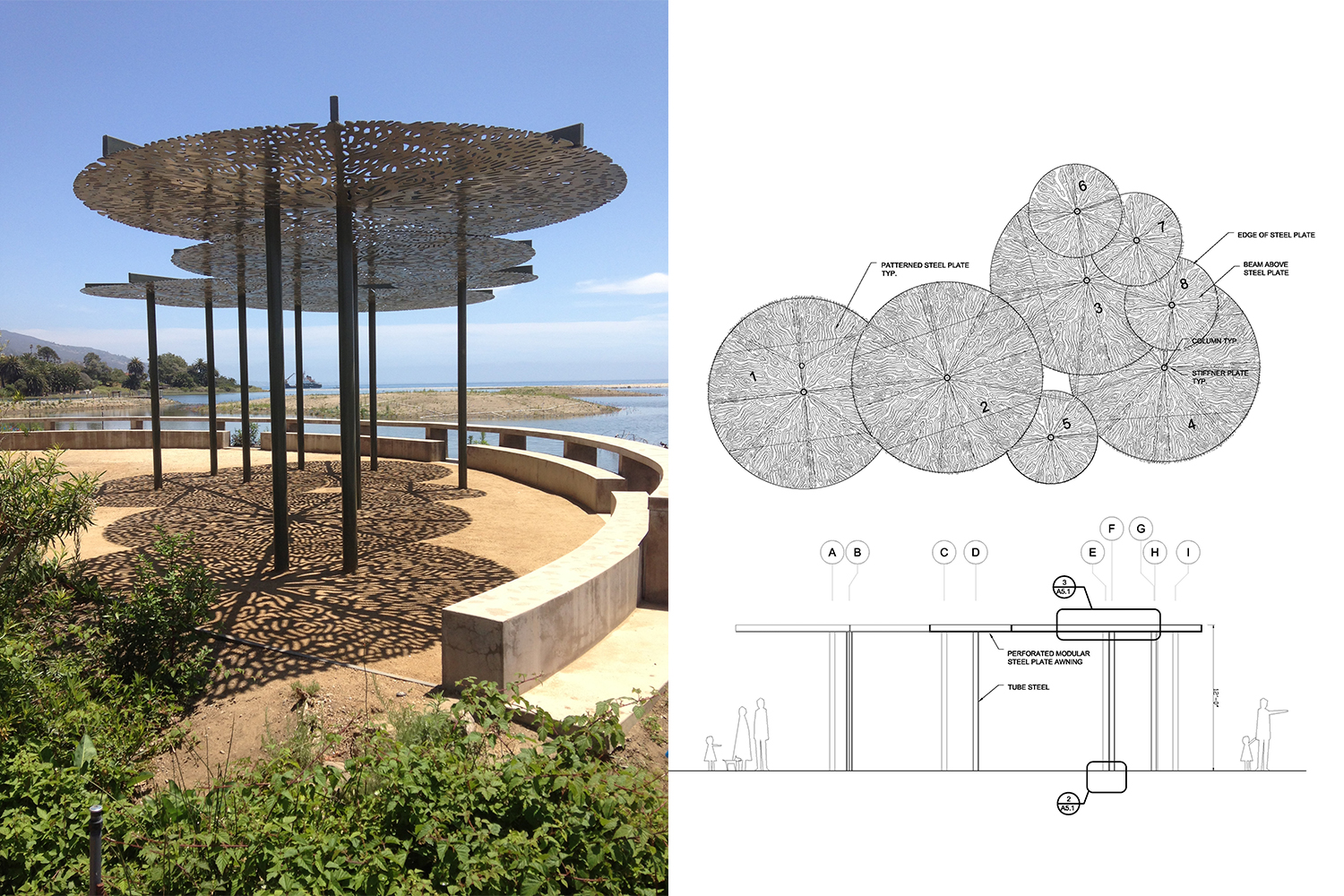 3-rcd-stevens-bunch-design-malibu-lagoon-kelp-canopy-drawing.jpg