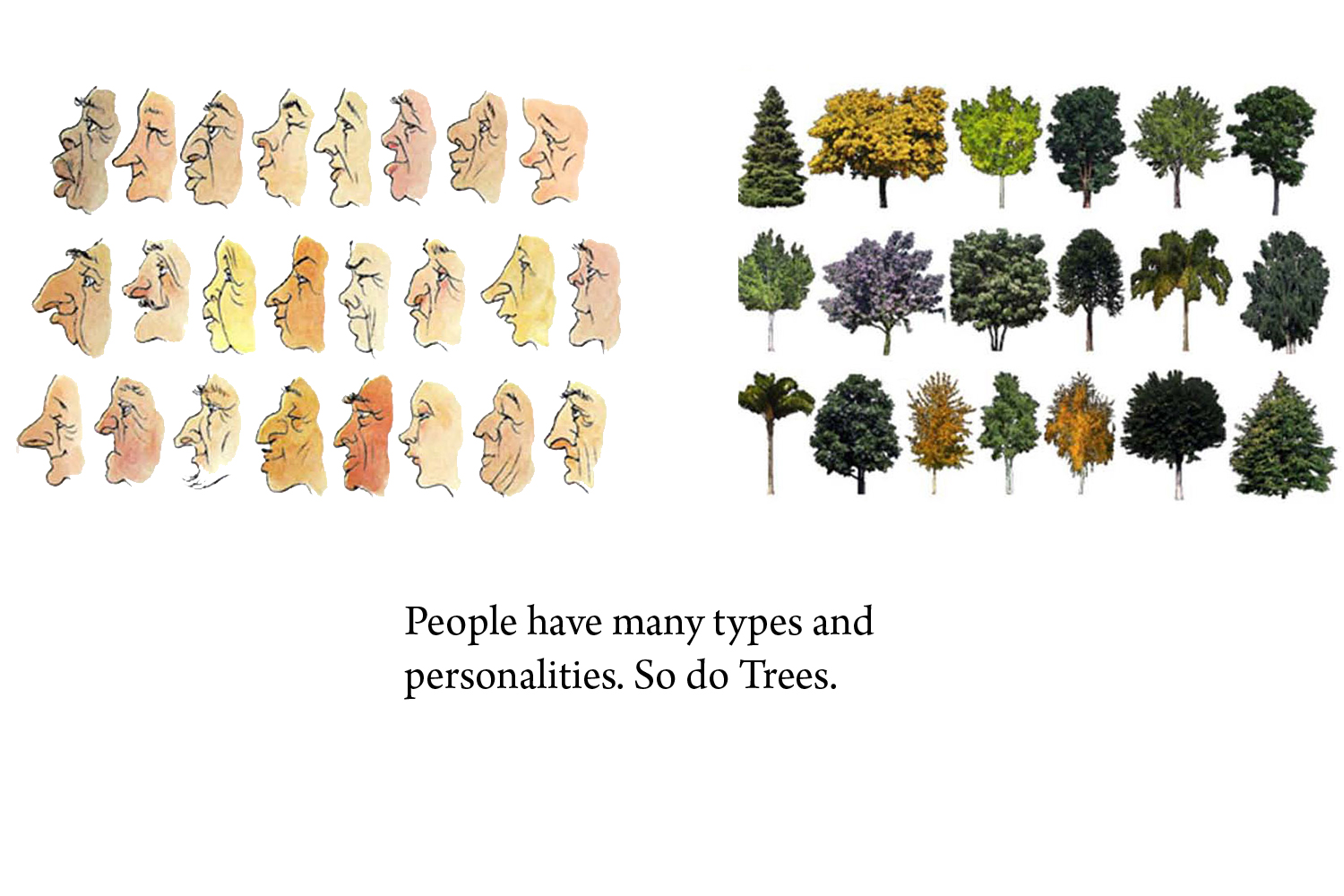 1-bunch-design-tree-people-diversity.jpg
