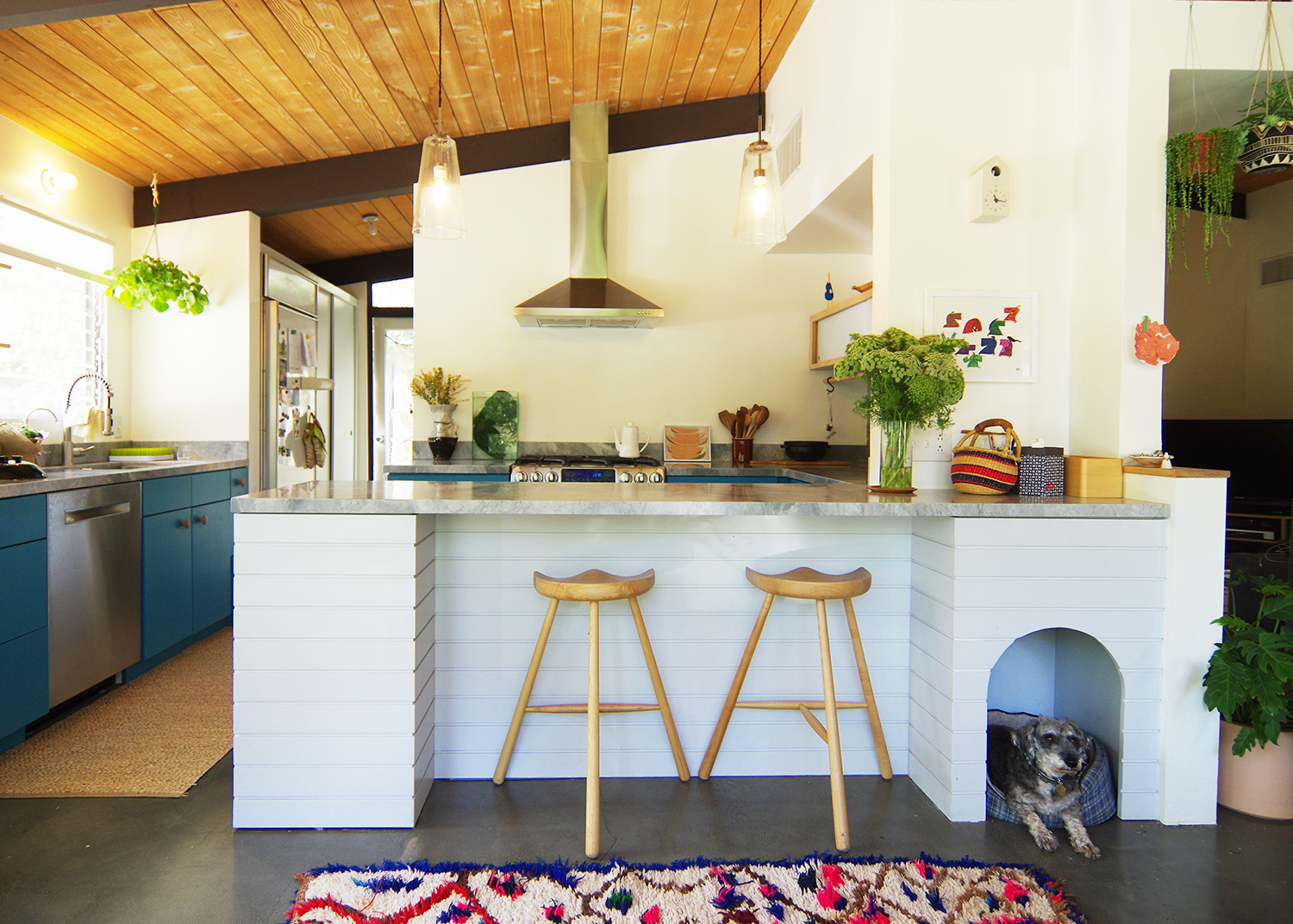 0-bunch-design-itabashi-residence--kitchen-front-dog.jpg