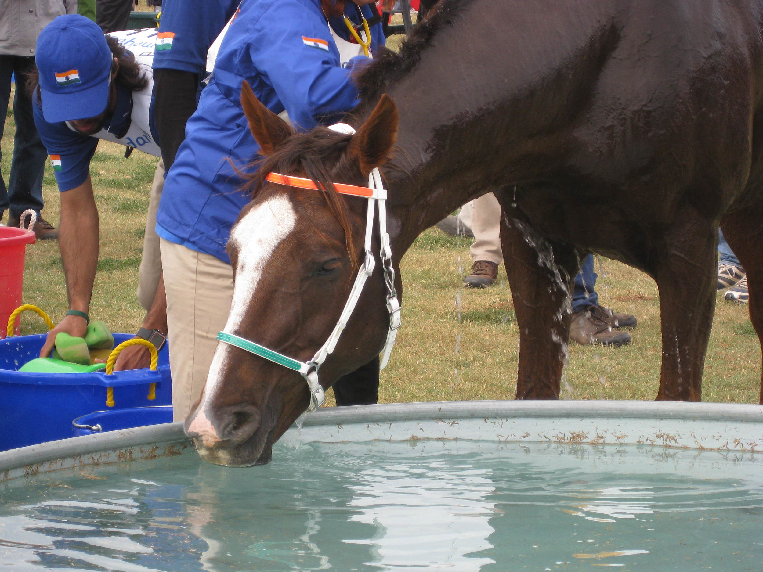 WEG 2010 1094.jpg