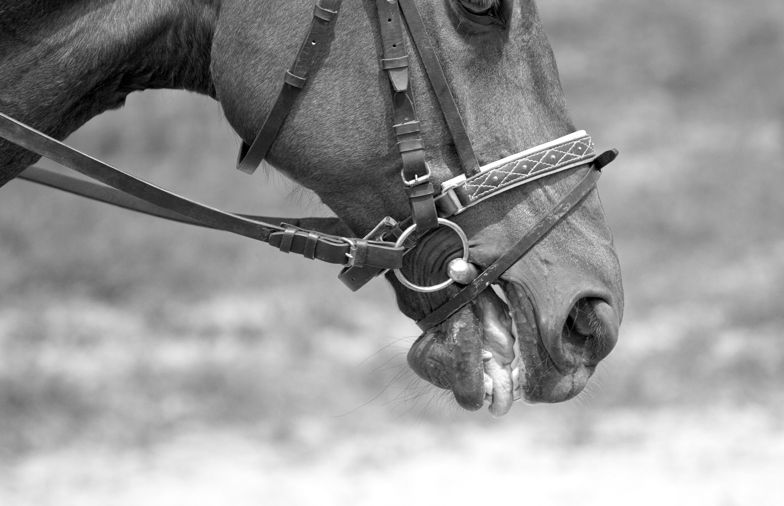shutterstock_159418922_BW.jpg