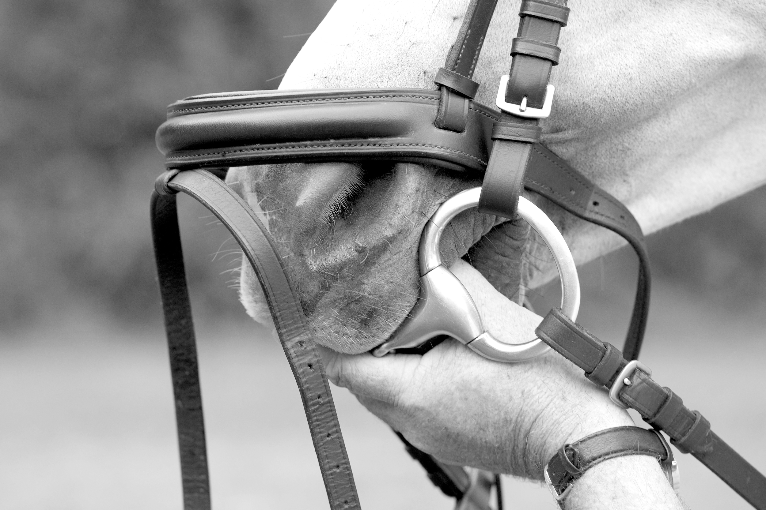 shutterstock_77770309_BW.jpg