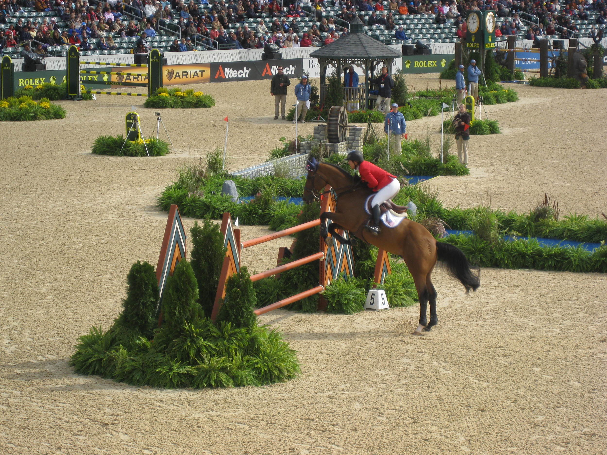 WEG 2010 10.2 101.jpg