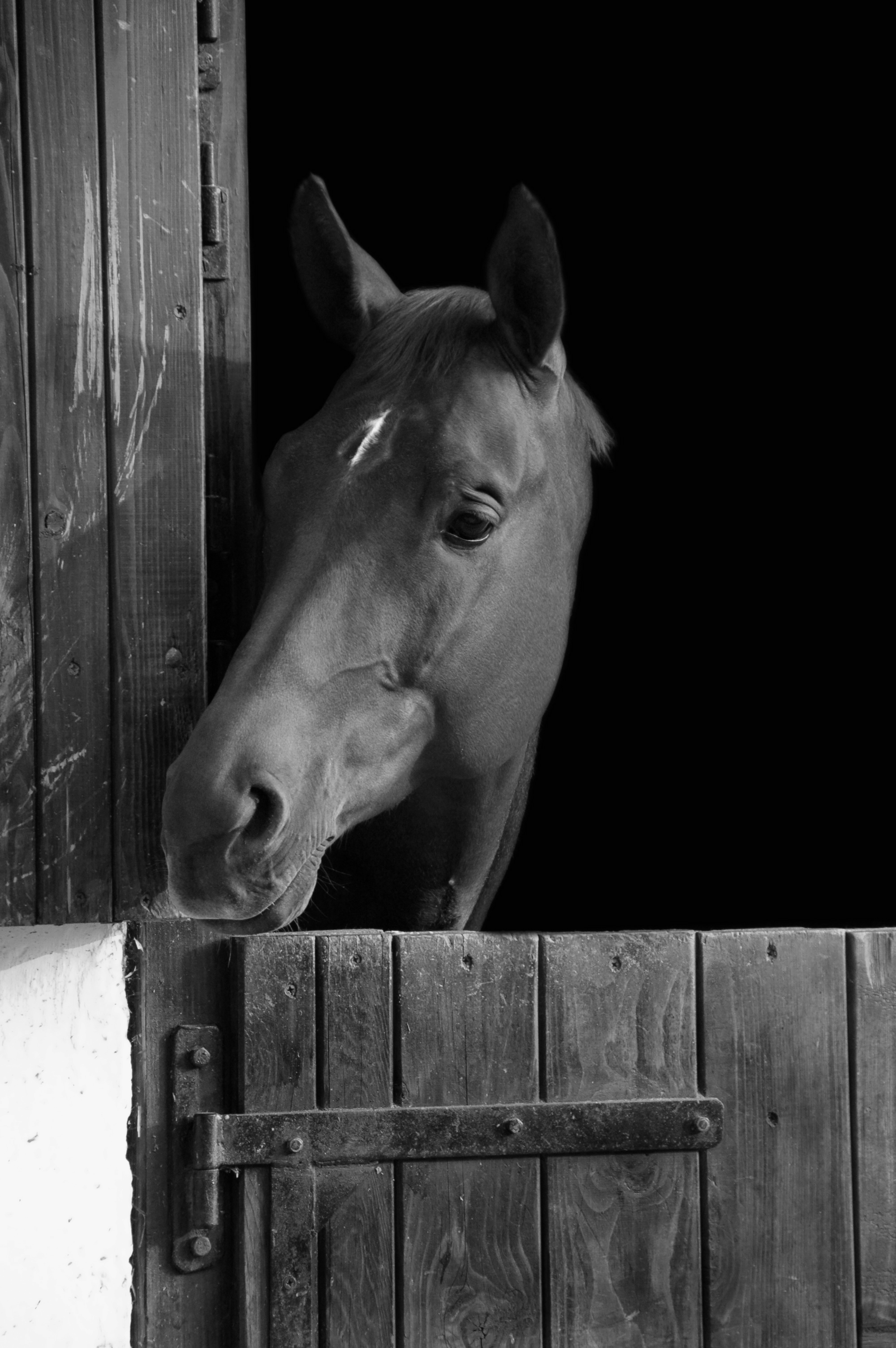 shutterstock_2852890_BW.jpg