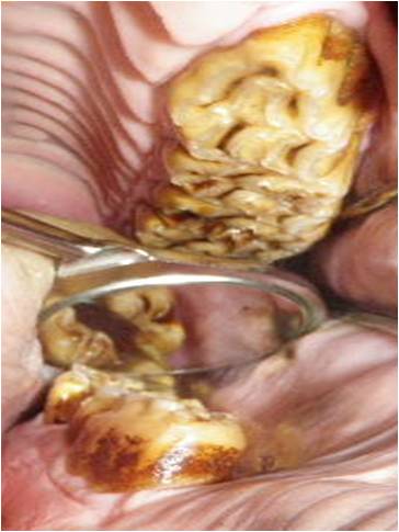Picture9.jpg