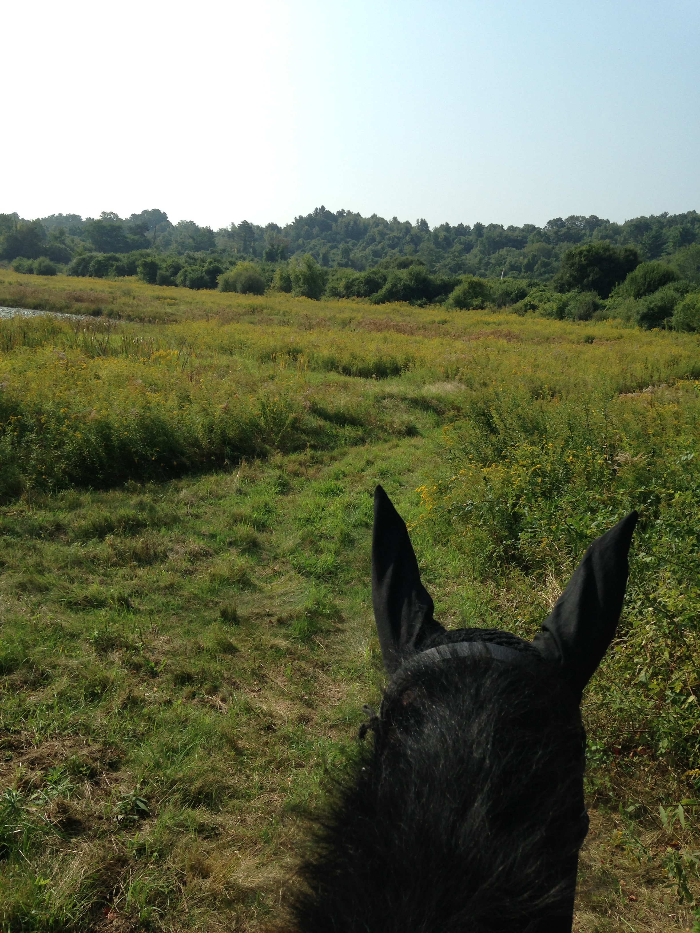 2013-09-12 10.14.01.jpg