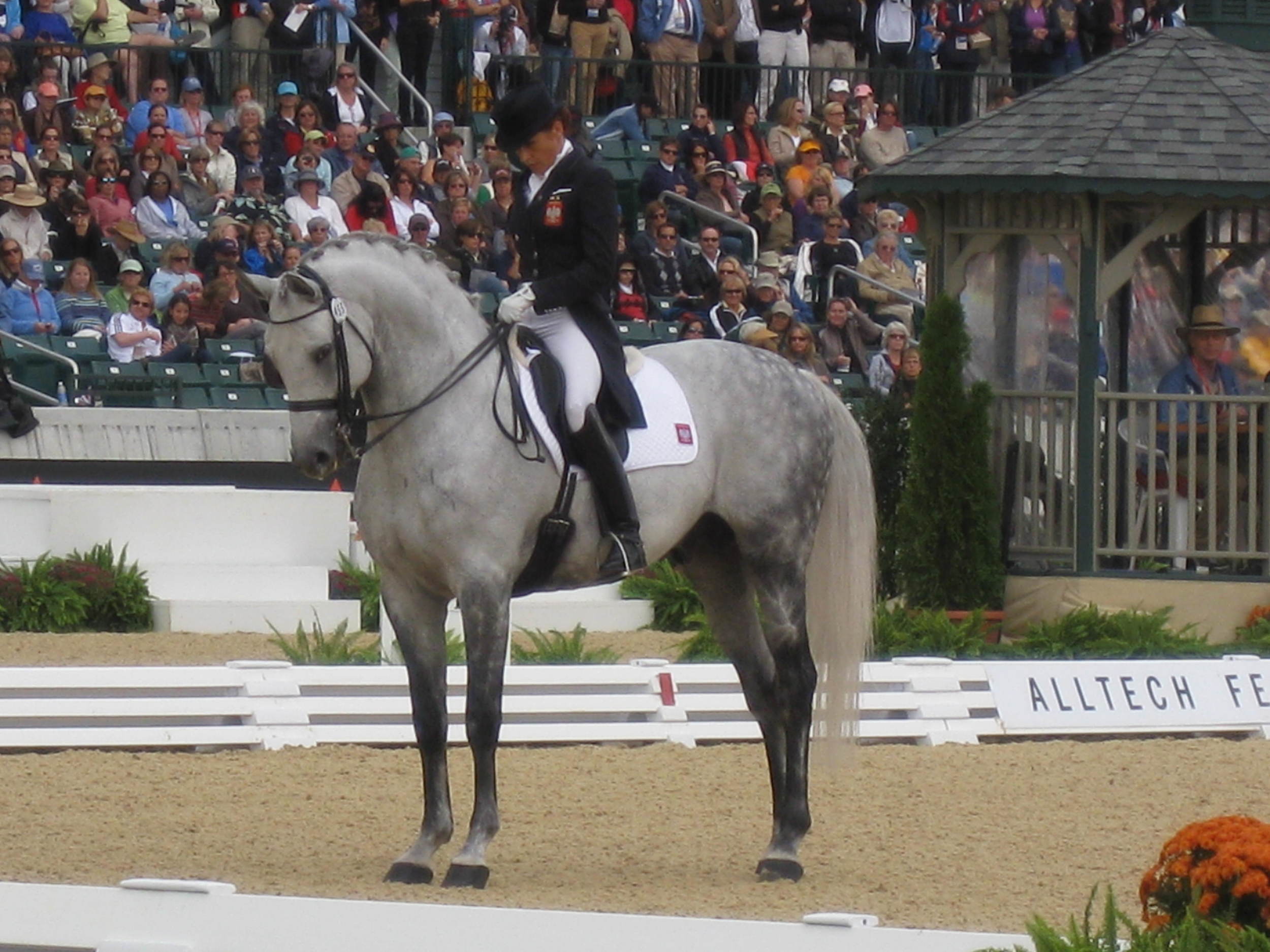 WEG grand prix dressage 109.jpg
