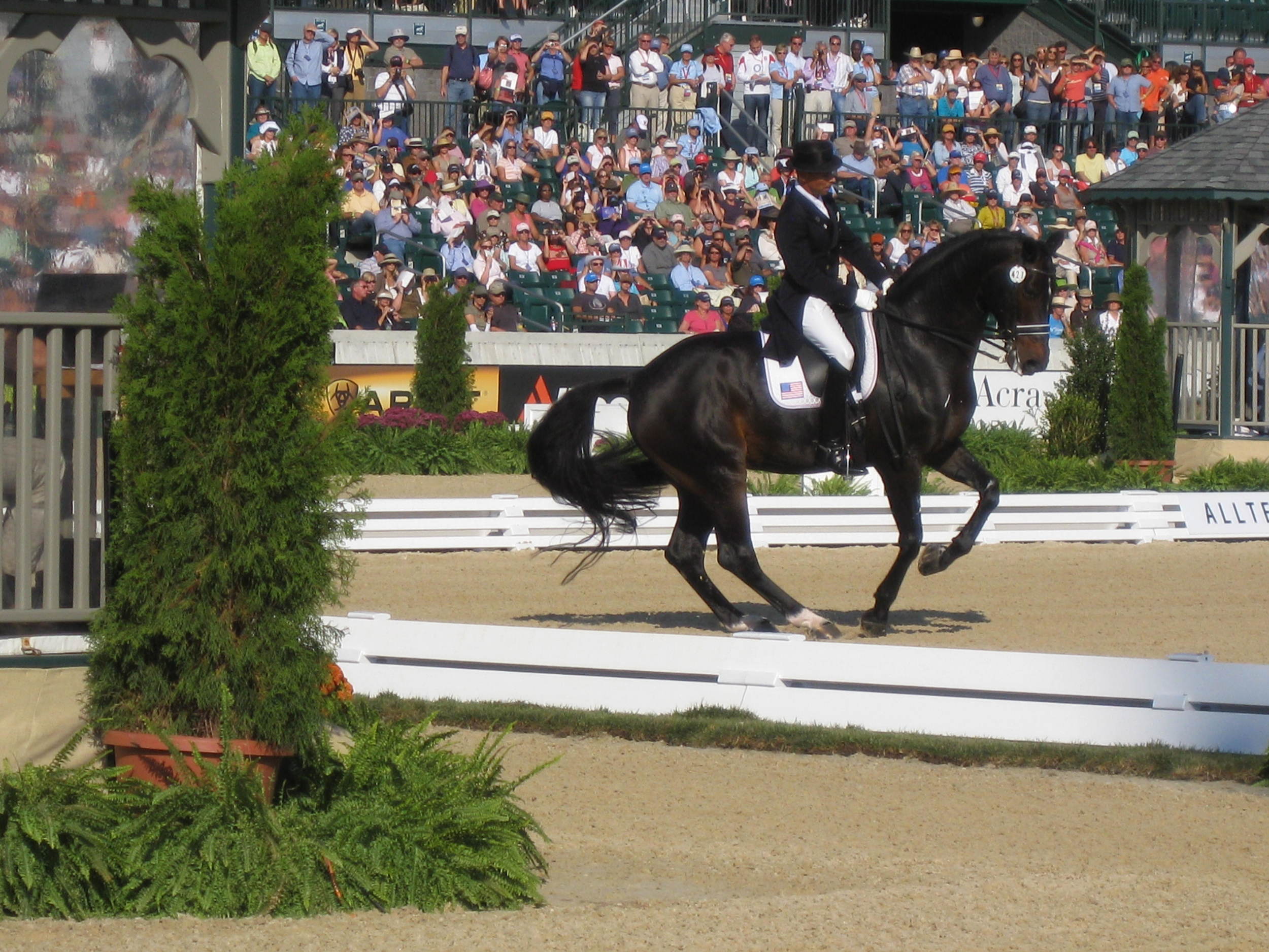 WEG 2010 096.jpg